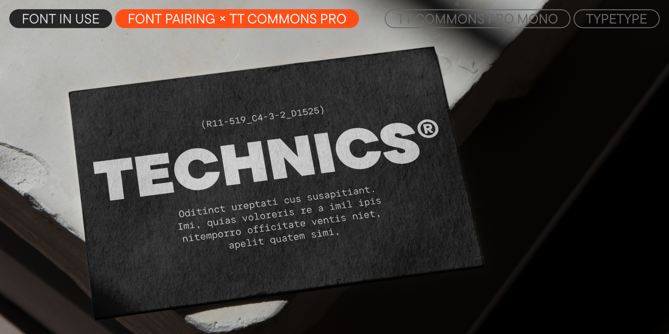 TT Commons™ Pro UPD 2025 — Изображение №20 — Графика на Dprofile