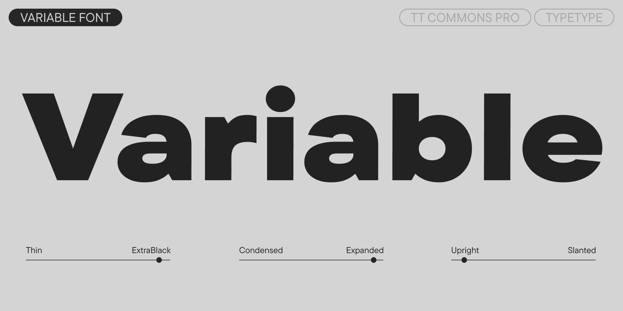 TT Commons™ Pro UPD 2025 — Изображение №6 — Графика на Dprofile