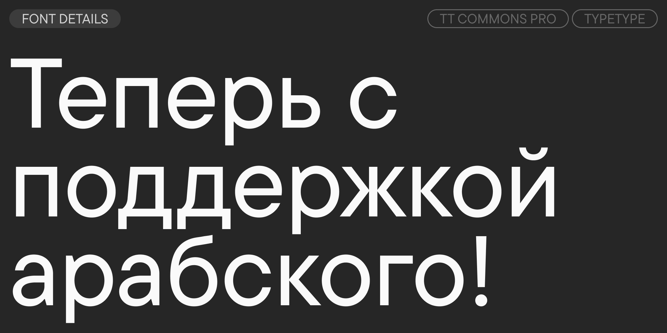 TT Commons™ Pro UPD 2025 — Изображение №4 — Графика на Dprofile