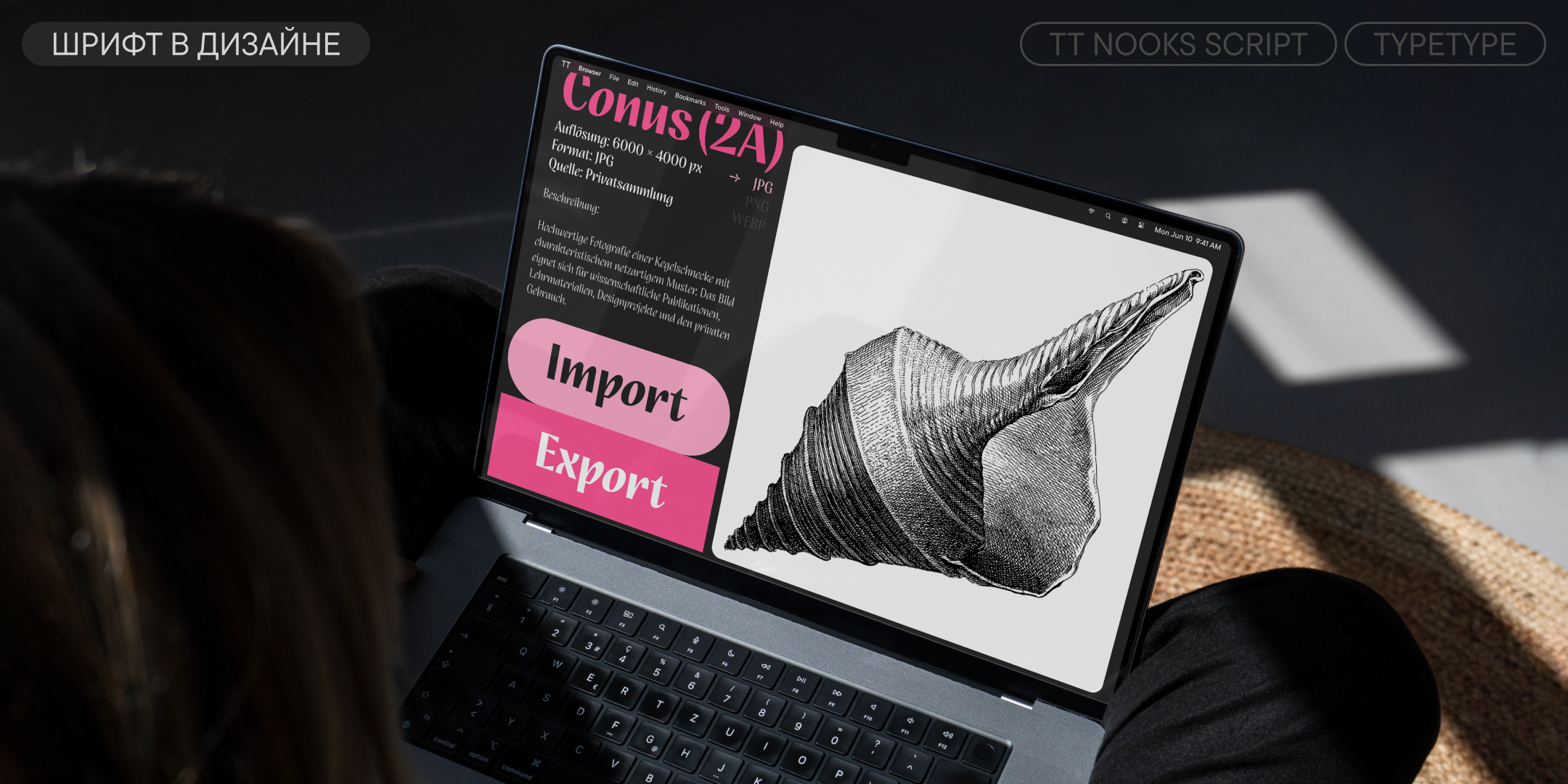 TT Nooks Script UPD 2026 — Изображение №9 — Графика на Dprofile