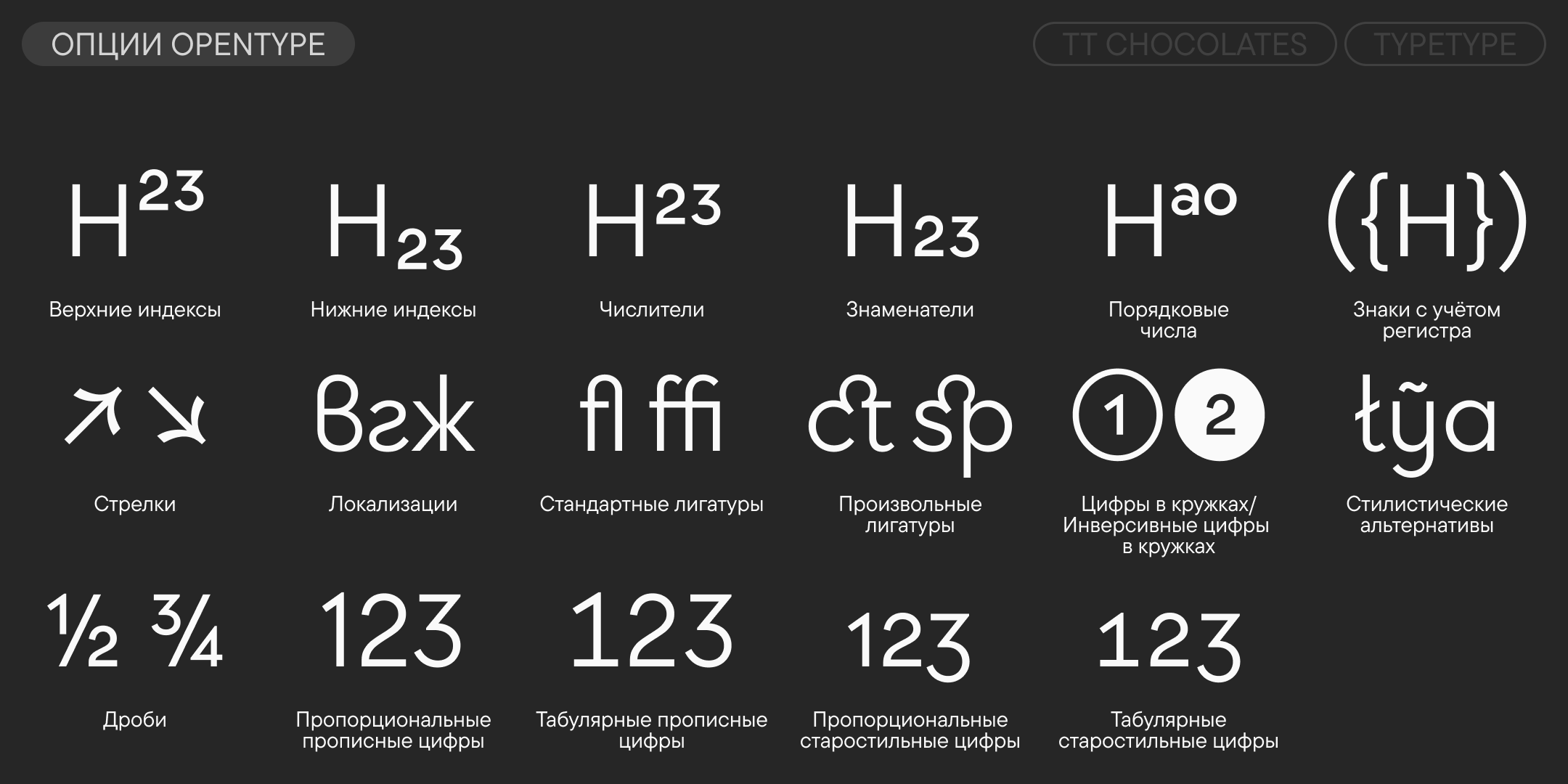 TT Chocolates UPD 2026 — Изображение №12 — Графика на Dprofile