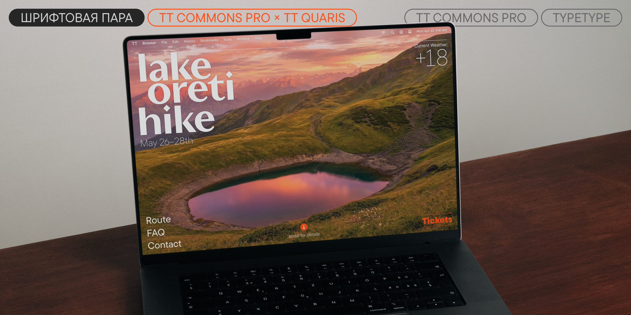 TT Commons™ Pro UPD 2026 — Изображение №11 — Графика на Dprofile