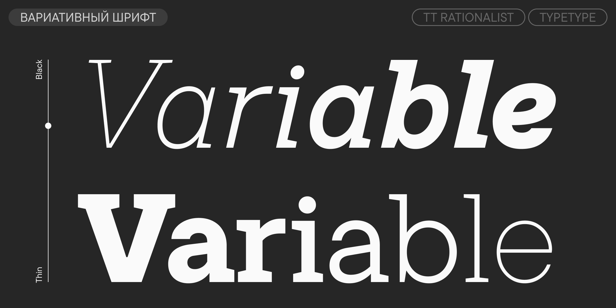 TT Rationalist UPD 2026 — Изображение №5 — Графика на Dprofile