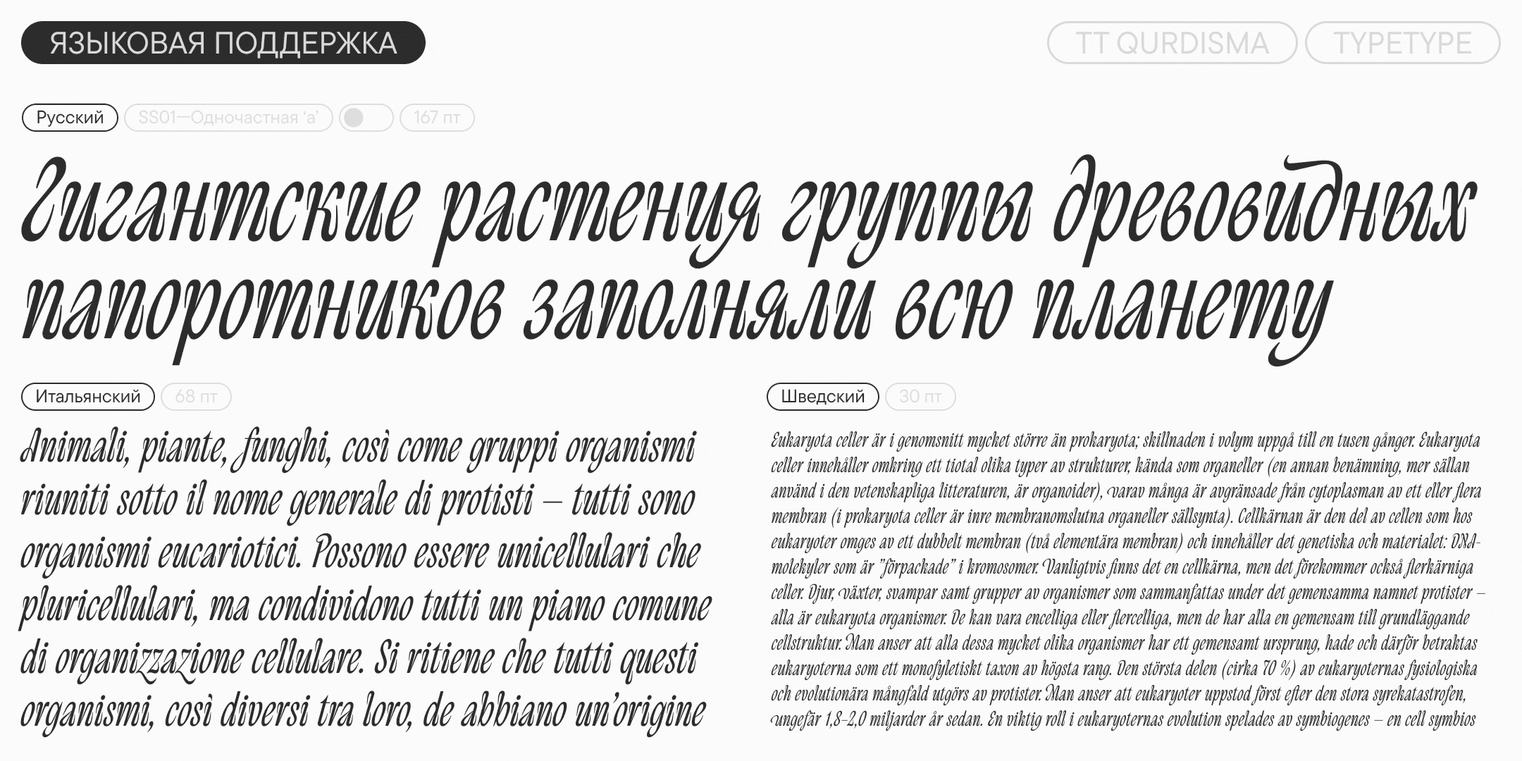 TT Qurdisma — Изображение №5 — Графика на Dprofile