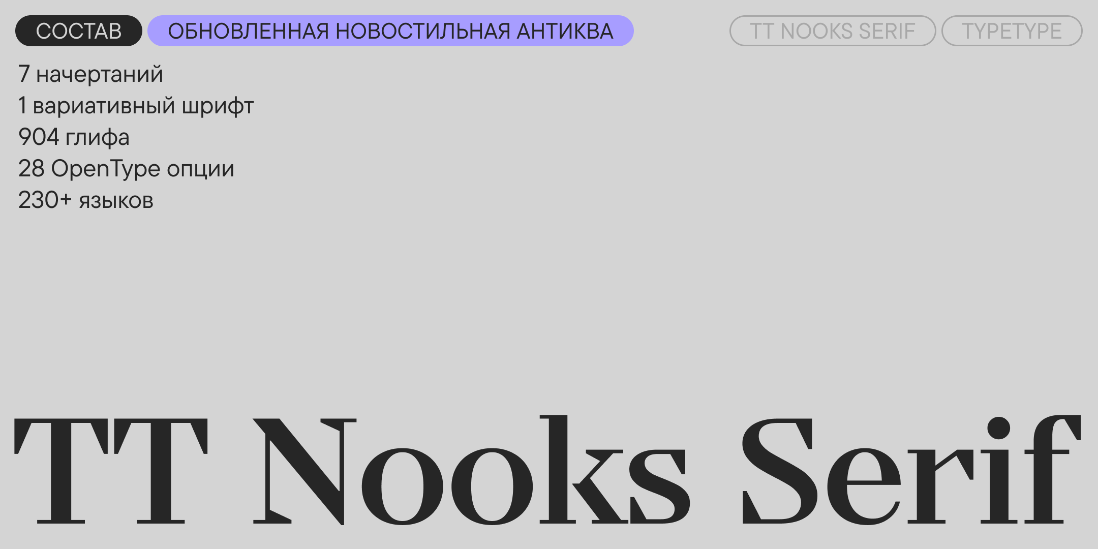 TT Nooks Serif UPD 2026 — Изображение №1 — Графика на Dprofile