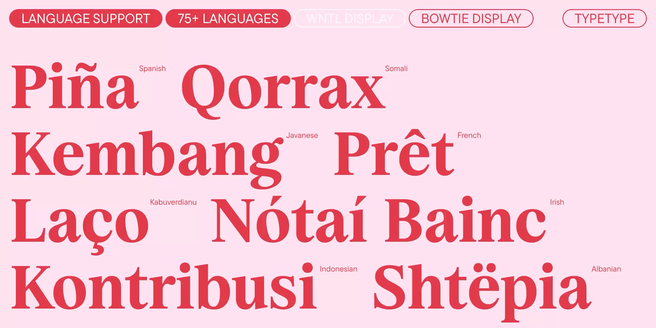 Rocket Type Family — Изображение №5 — Брендинг, Графика на Dprofile