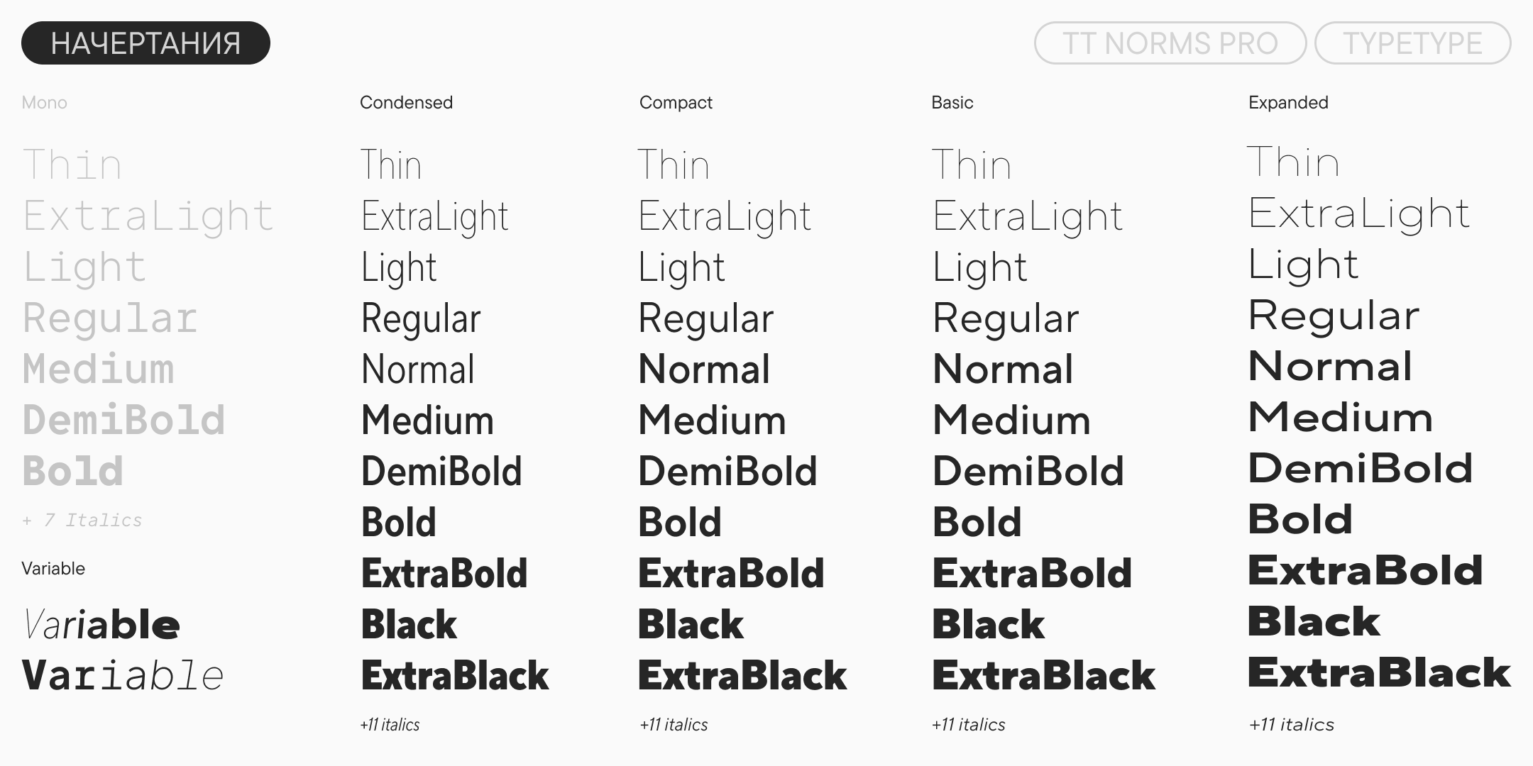 TT Norms Pro UPD 2026 — Изображение №4 — Графика на Dprofile