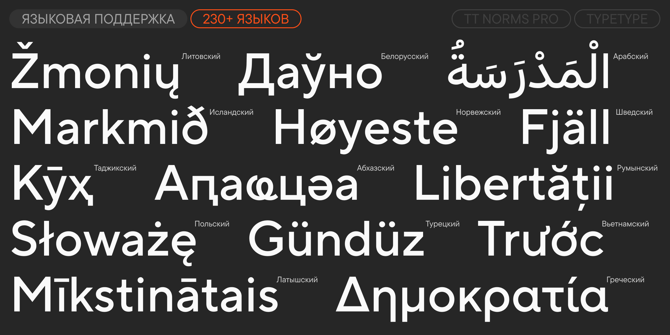 TT Norms Pro UPD 2026 — Изображение №7 — Графика на Dprofile