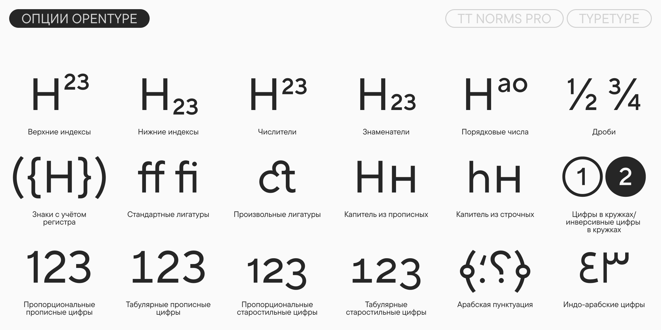 TT Norms Pro UPD 2026 — Изображение №12 — Графика на Dprofile