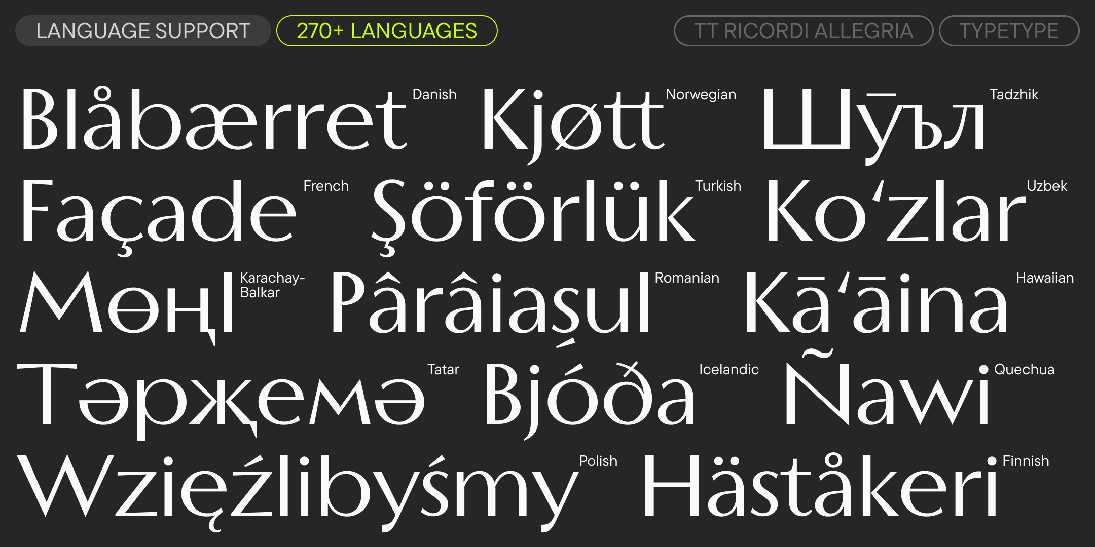 TT Ricordi Allegria UPD 2025 — Изображение №7 — Графика на Dprofile