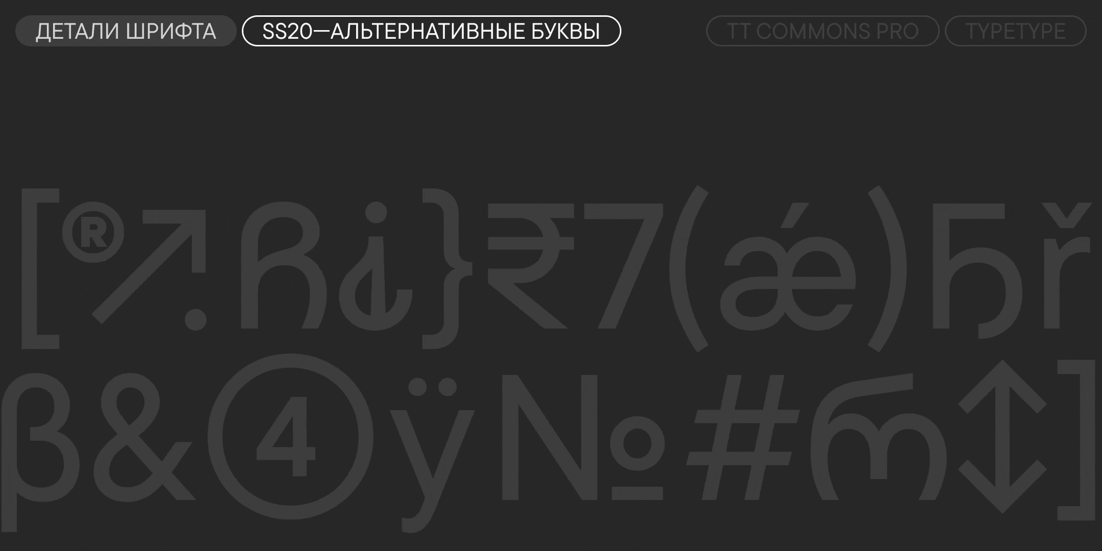 TT Commons™ Pro UPD 2026 — Изображение №15 — Графика на Dprofile