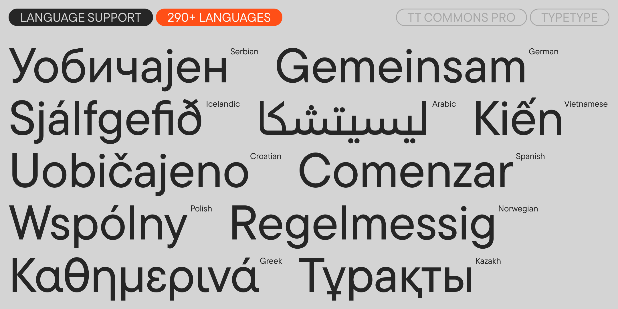 TT Commons™ Pro UPD 2025 — Изображение №8 — Графика на Dprofile