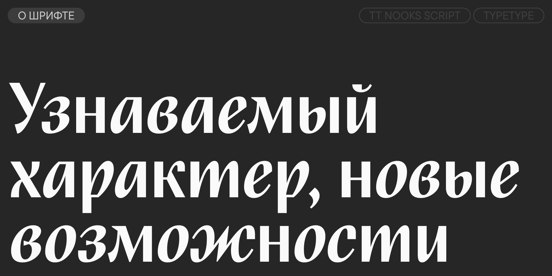 TT Nooks Script UPD 2026 — Изображение №3 — Графика на Dprofile