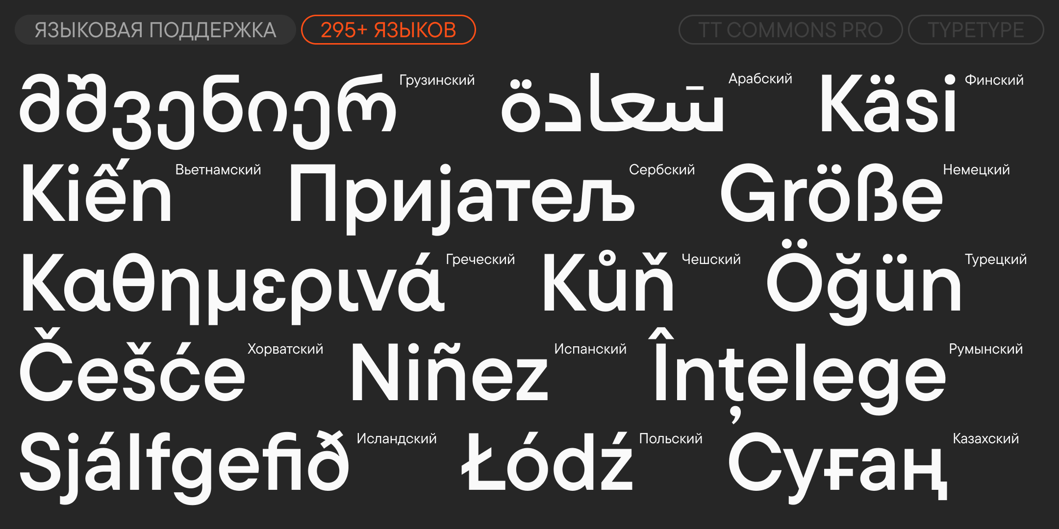 TT Commons™ Pro UPD 2026 — Изображение №7 — Графика на Dprofile