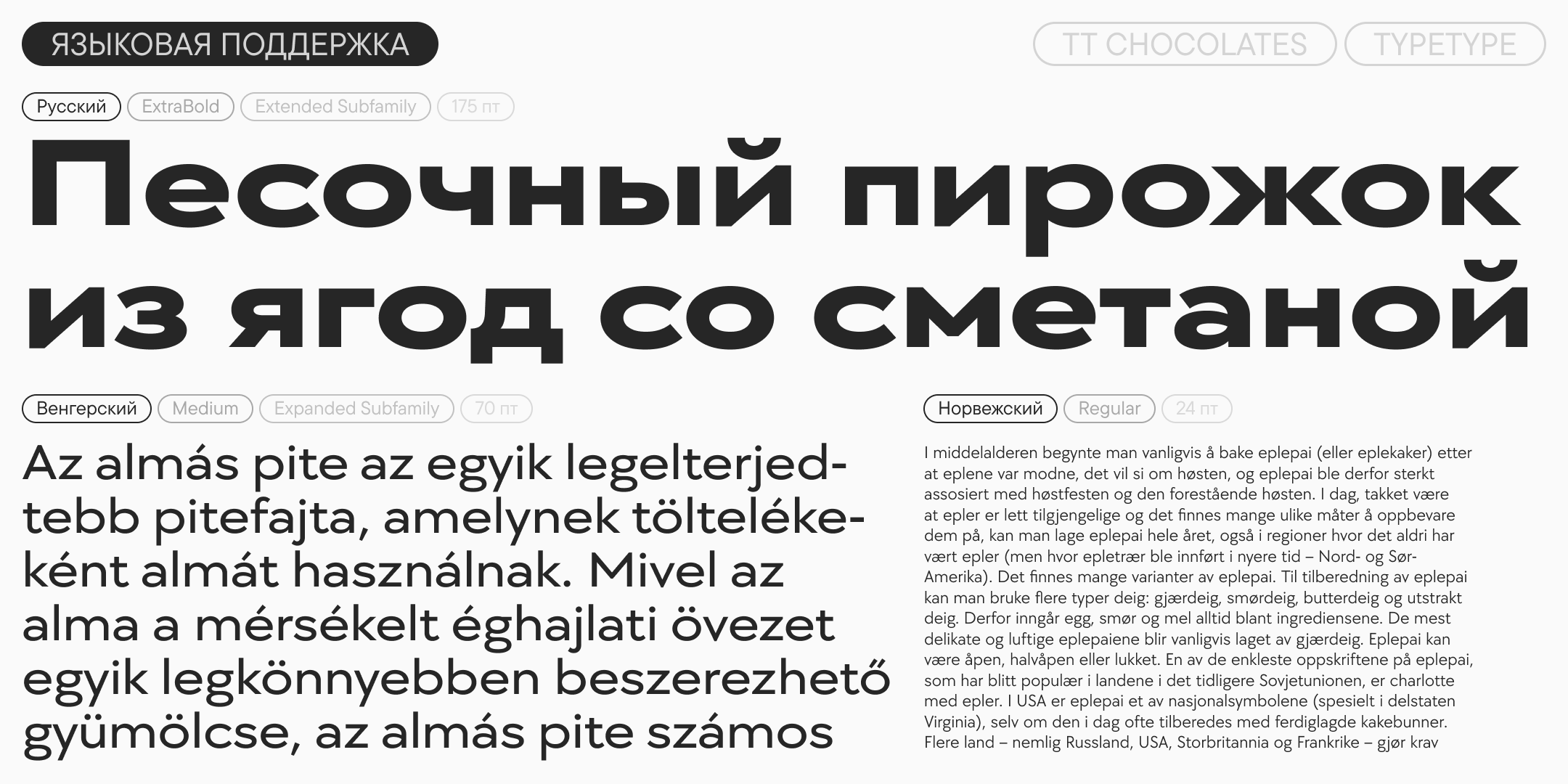 TT Chocolates UPD 2026 — Изображение №8 — Графика на Dprofile
