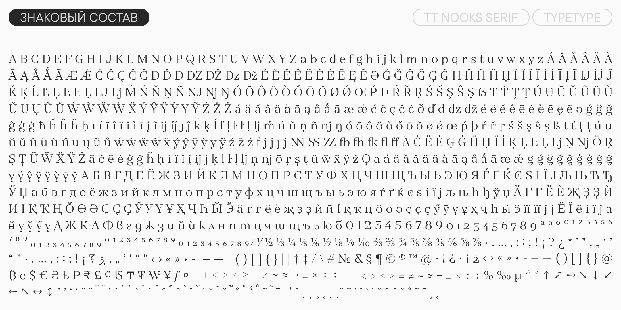 TT Nooks Serif UPD 2026 — Изображение №10 — Графика на Dprofile