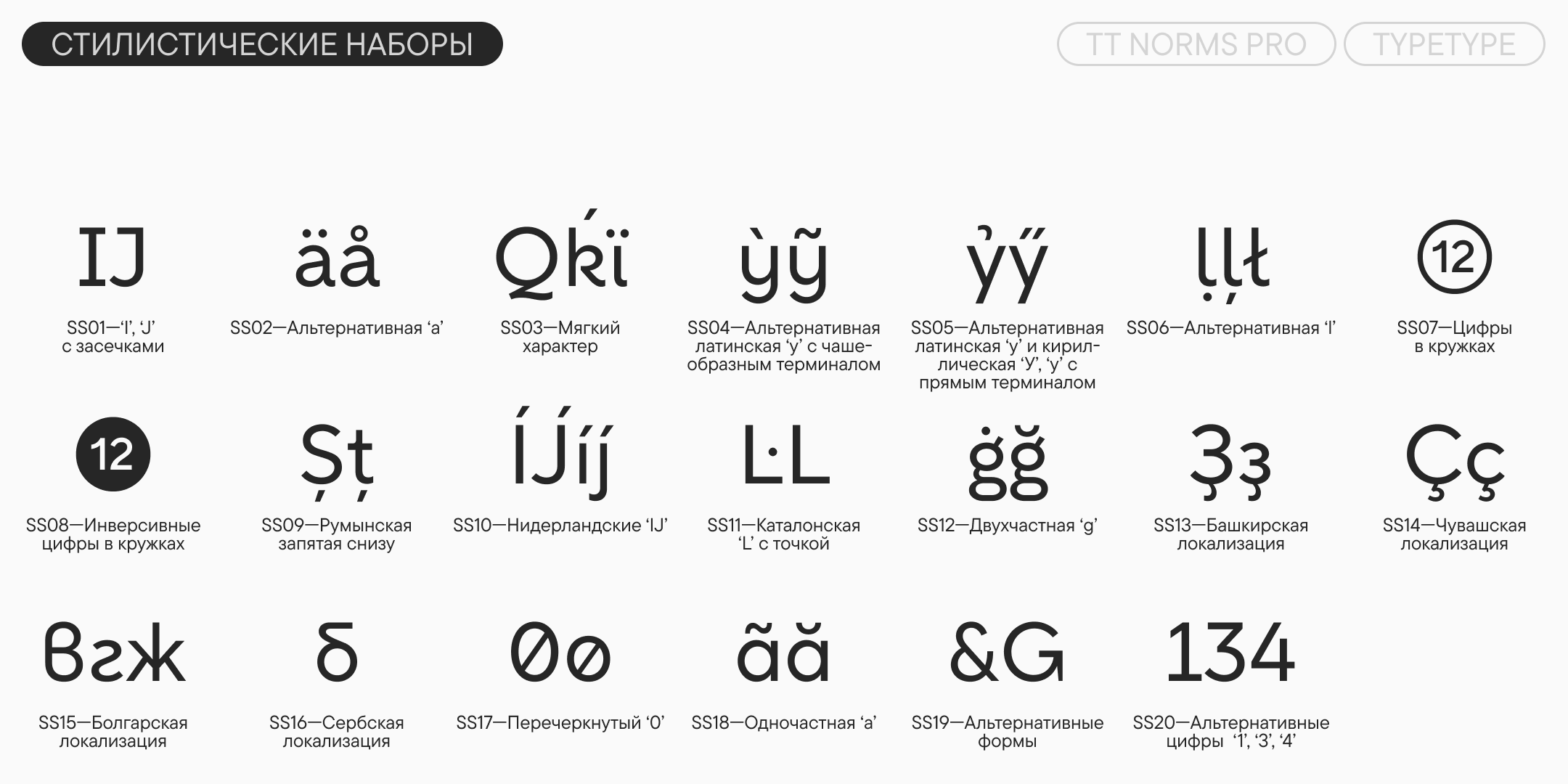 TT Norms Pro UPD 2026 — Изображение №14 — Графика на Dprofile
