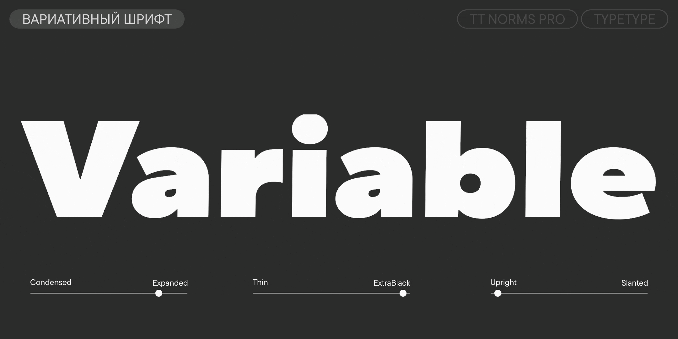 TT Norms Pro UPD 2026 — Изображение №5 — Графика на Dprofile