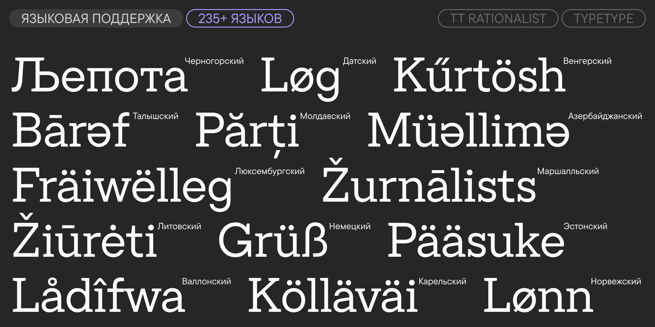 TT Rationalist UPD 2026 — Изображение №7 — Графика на Dprofile