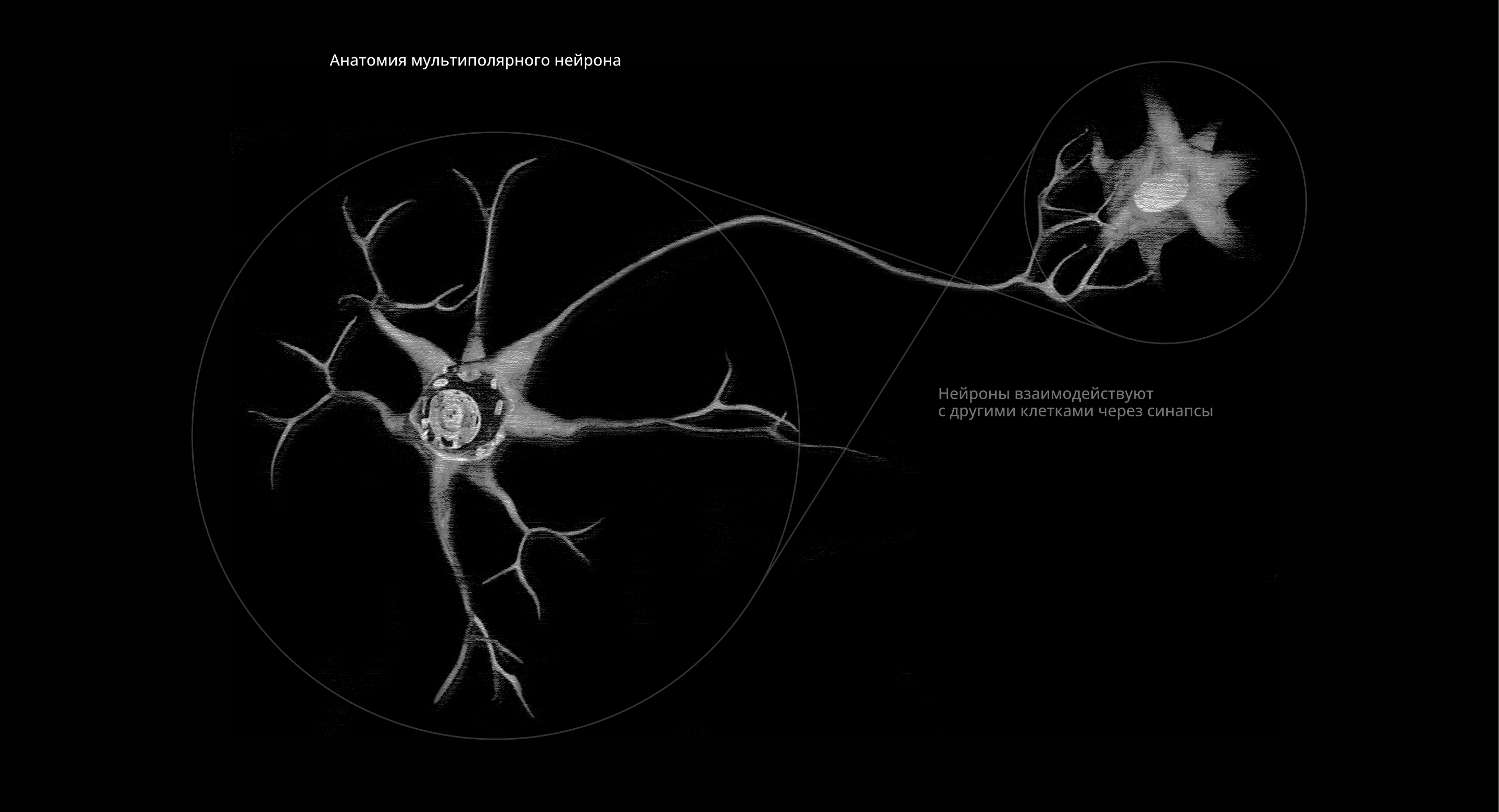 CyberMind — Изображение №2 — Брендинг, Анимация на Dprofile