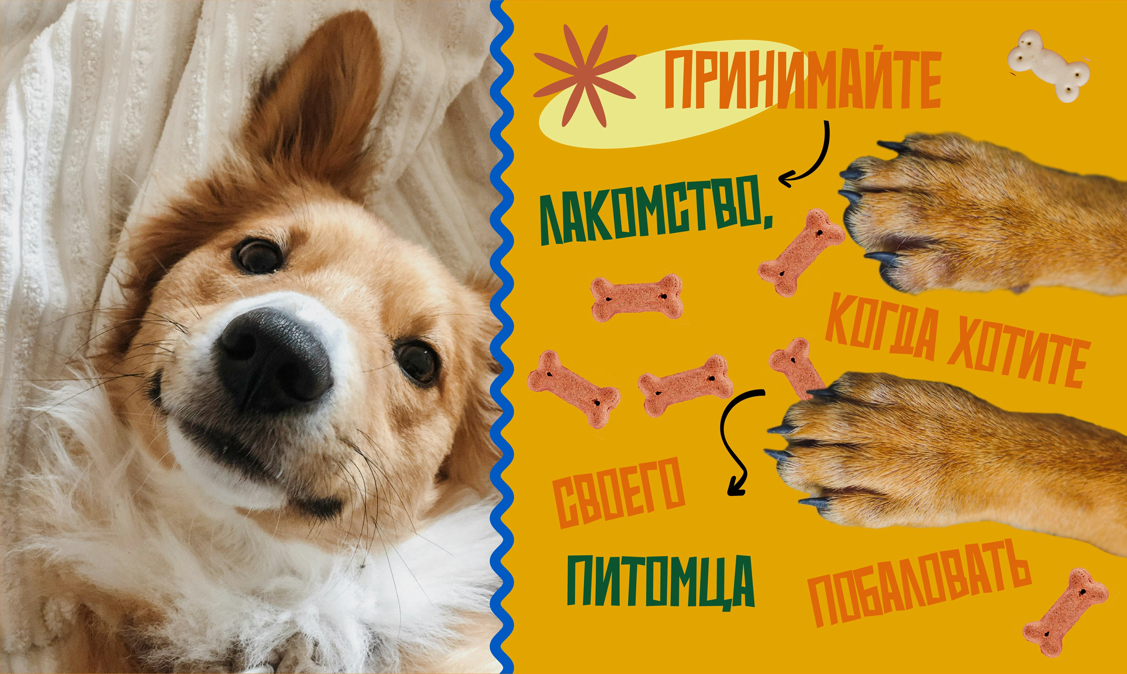 Packaging design for pet food. Дизайн упаковки для лакомства — Изображение №19 — Брендинг на Dprofile