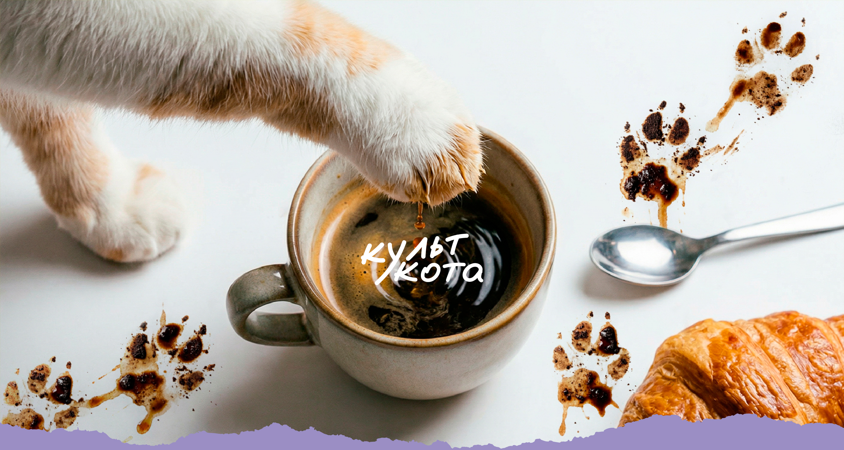 Разработка айдентики премиального котокафе «Культ кота» — Изображение №1 — Брендинг на Dprofile