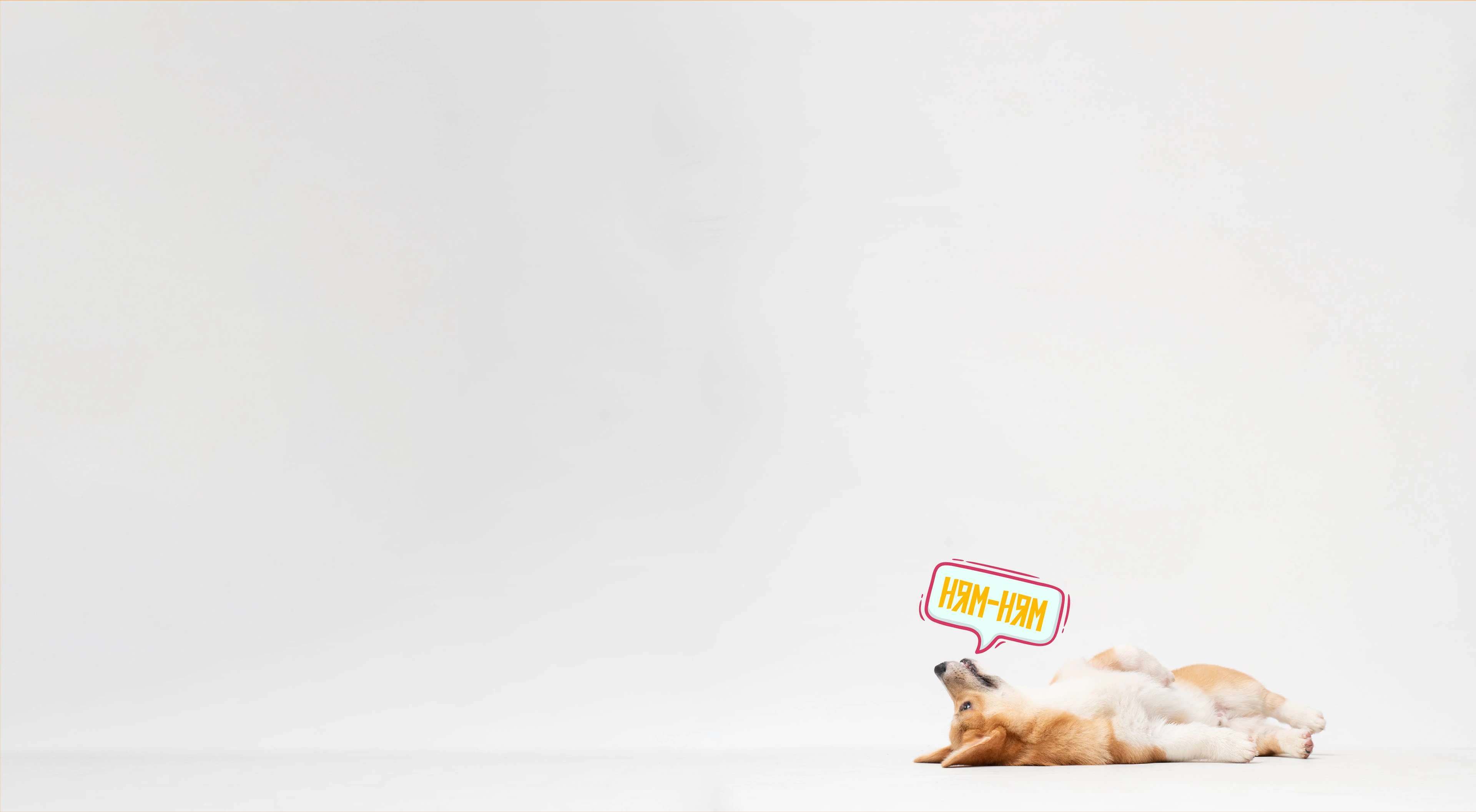 Packaging design for pet food. Дизайн упаковки для лакомства — Изображение №13 — Брендинг на Dprofile