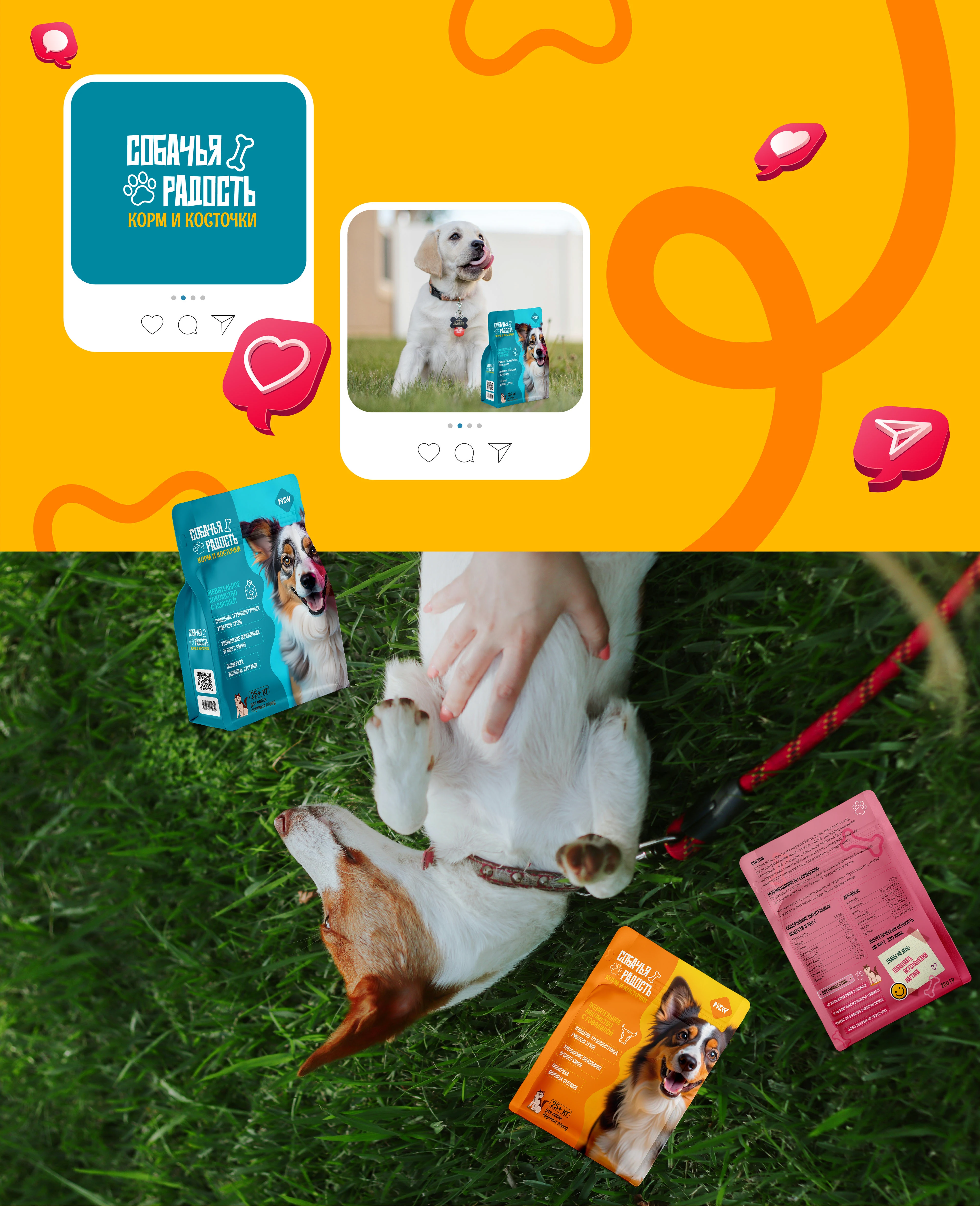 Packaging design for pet food. Дизайн упаковки для лакомства — Изображение №17 — Брендинг на Dprofile