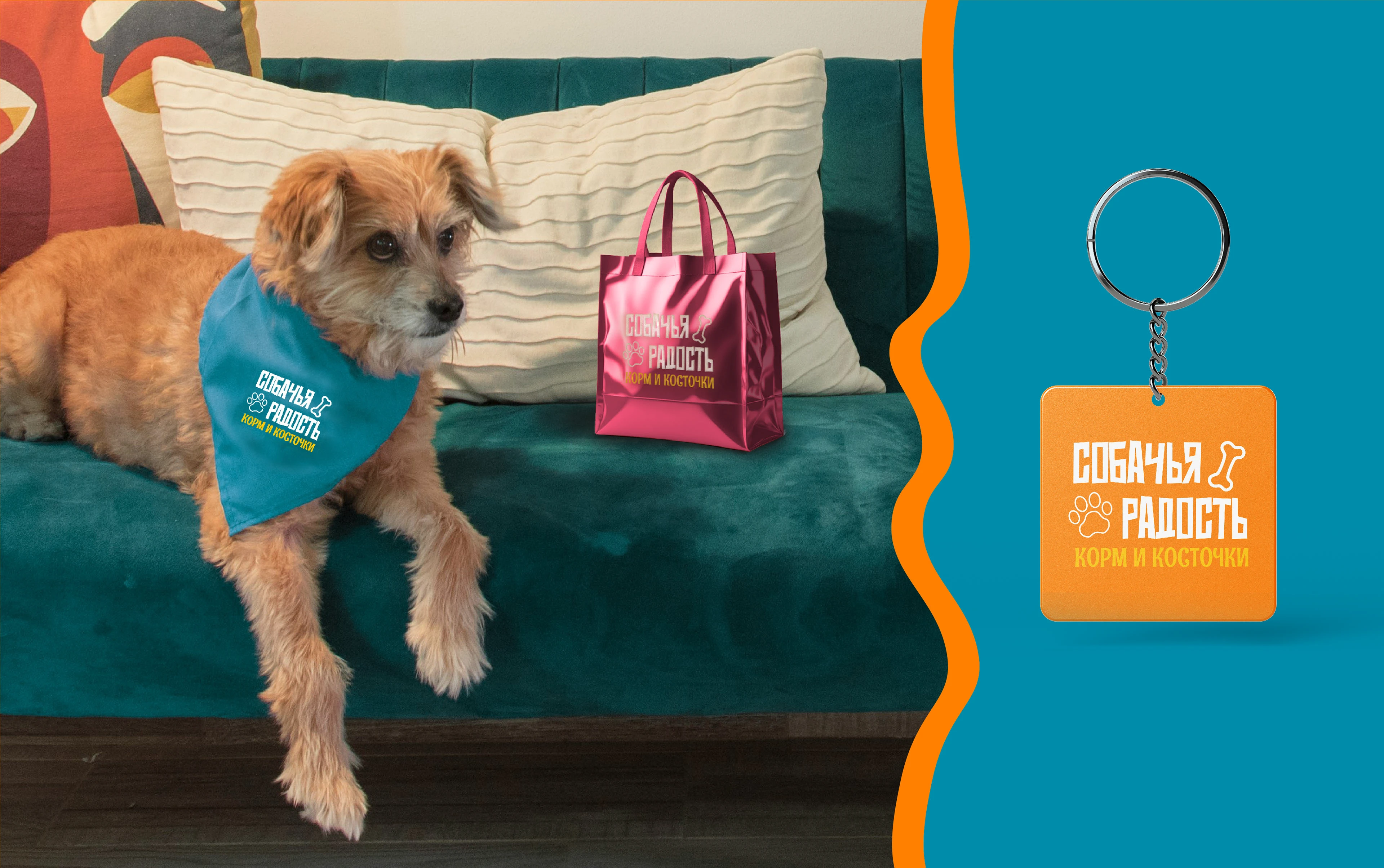 Packaging design for pet food. Дизайн упаковки для лакомства — Изображение №16 — Брендинг на Dprofile