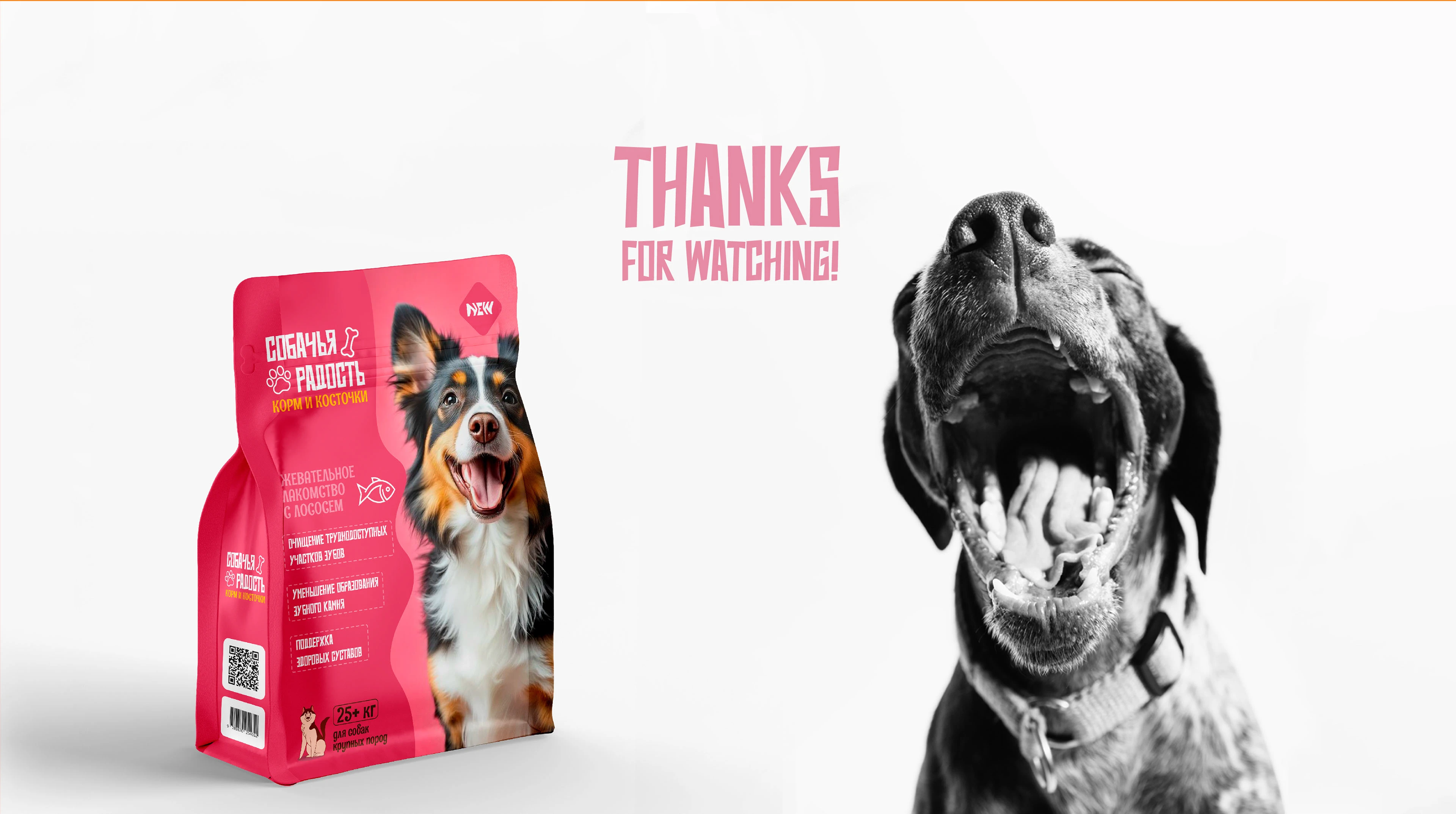 Packaging design for pet food. Дизайн упаковки для лакомства — Изображение №22 — Брендинг на Dprofile