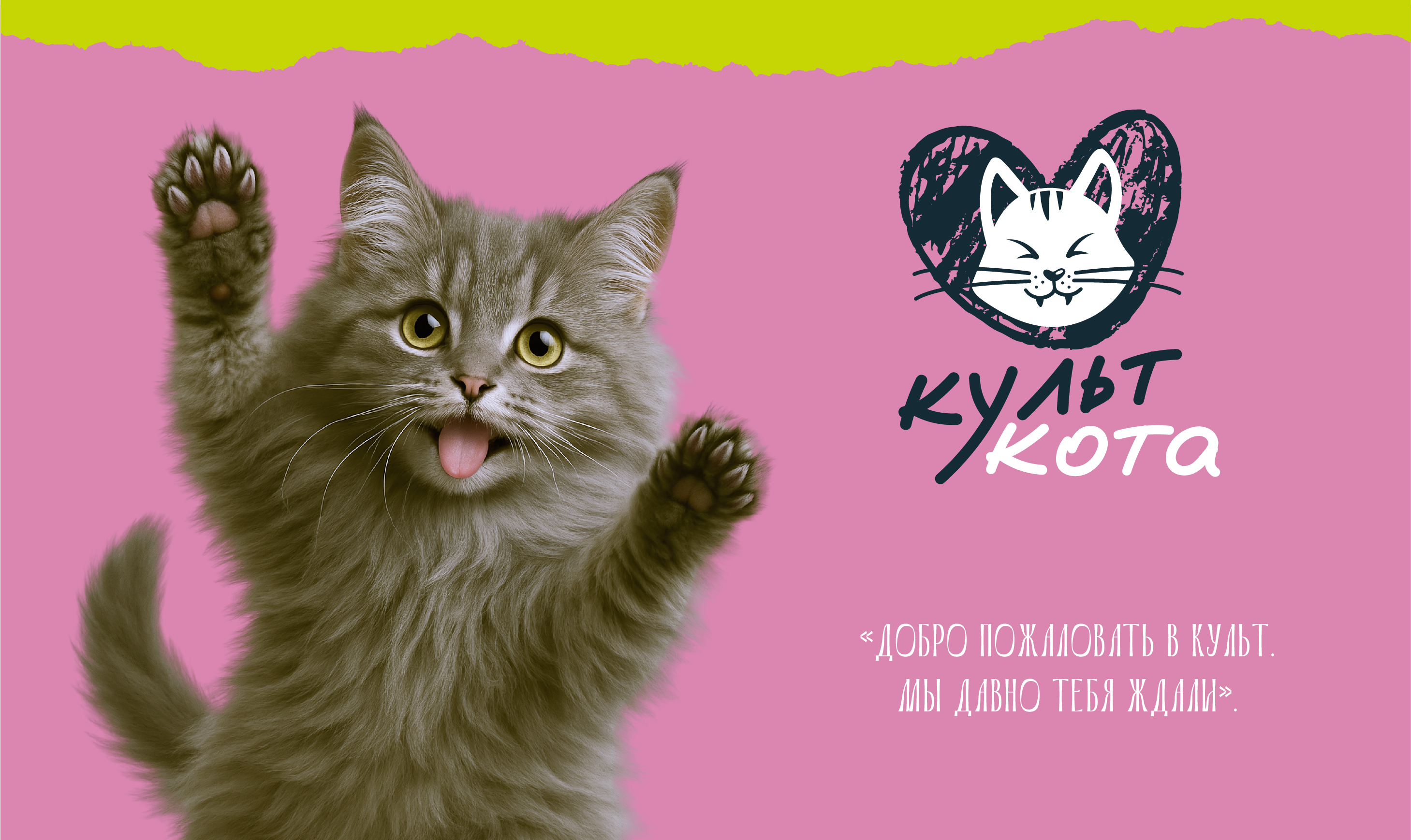 Разработка айдентики премиального котокафе «Культ кота» — Изображение №16 — Брендинг на Dprofile
