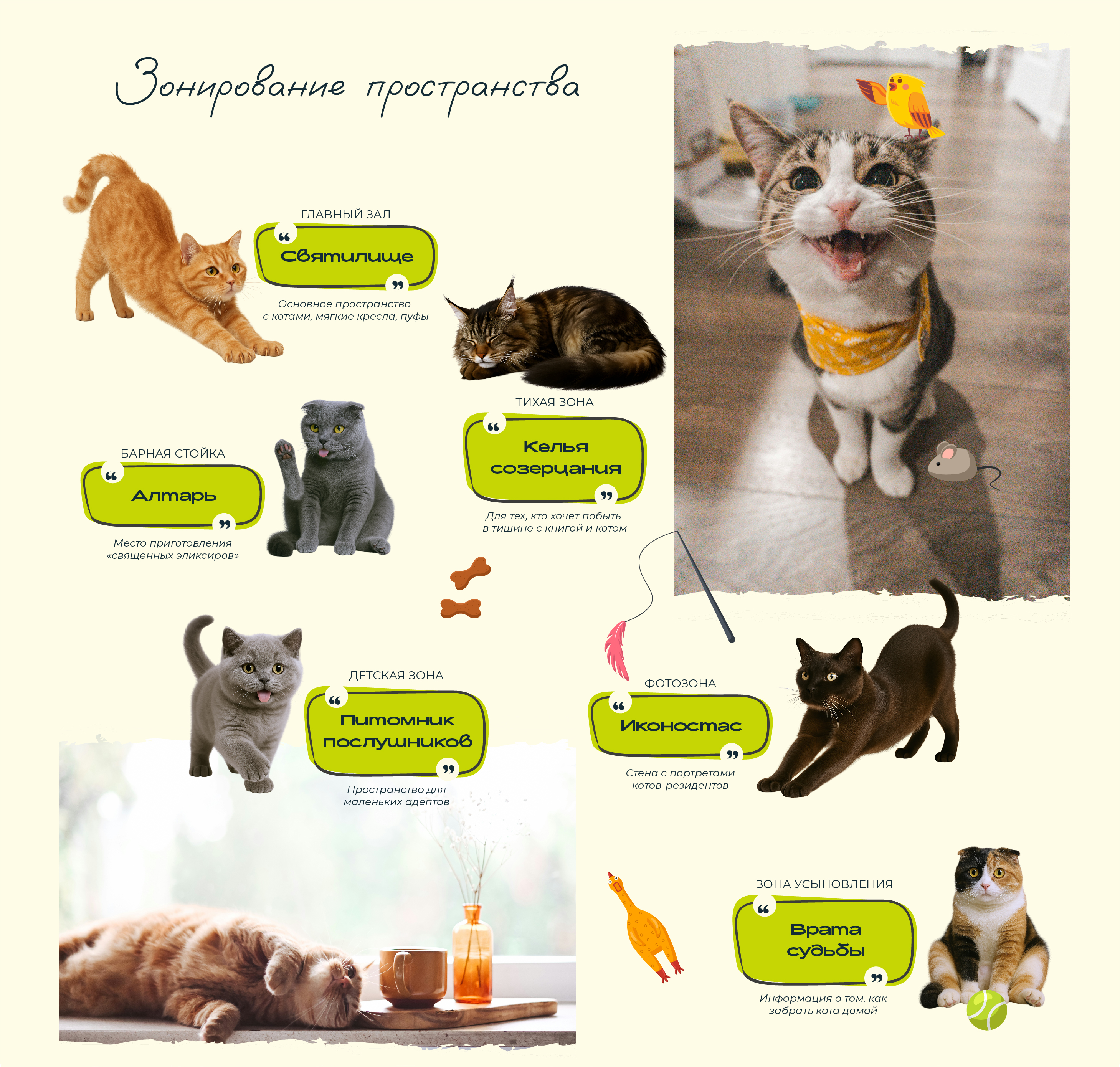Разработка айдентики премиального котокафе «Культ кота» — Изображение №6 — Брендинг на Dprofile
