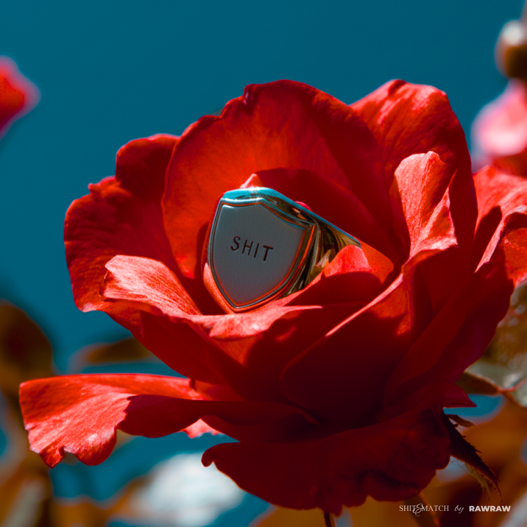 SHIT&MATCH — Изображение №3 — Иллюстрация, Маркетинг на Dprofile