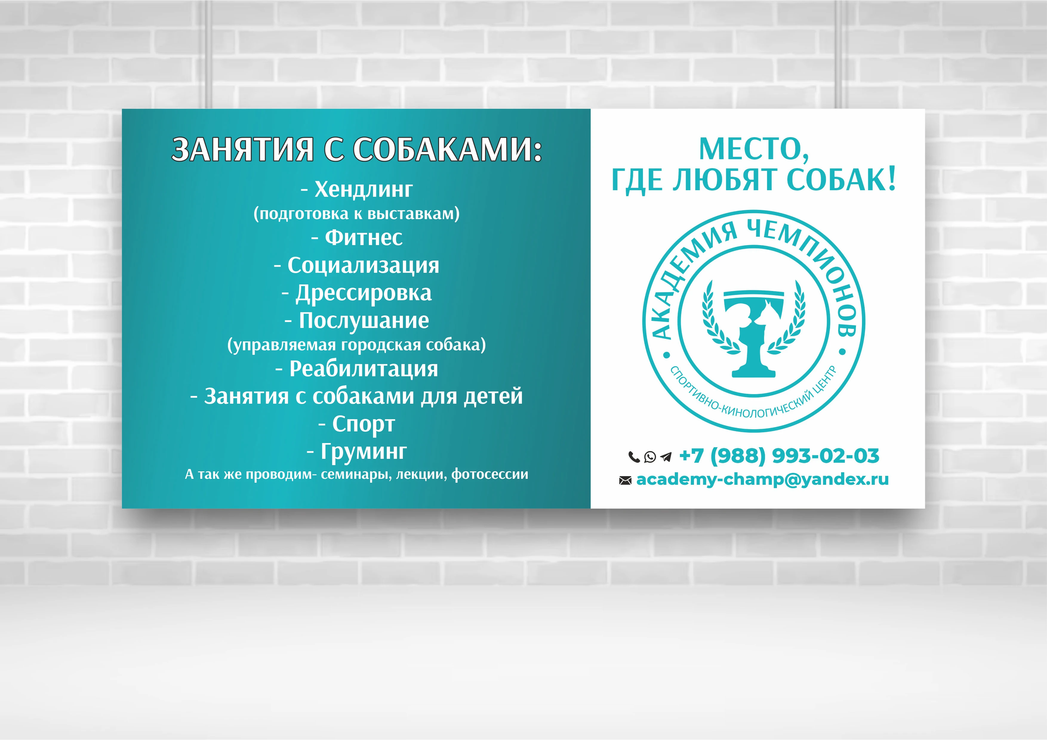 Логотип для кинологического центра АКАДЕМИЯ ЧЕМПИОНОВ — Изображение №10 — Брендинг, Графика на Dprofile