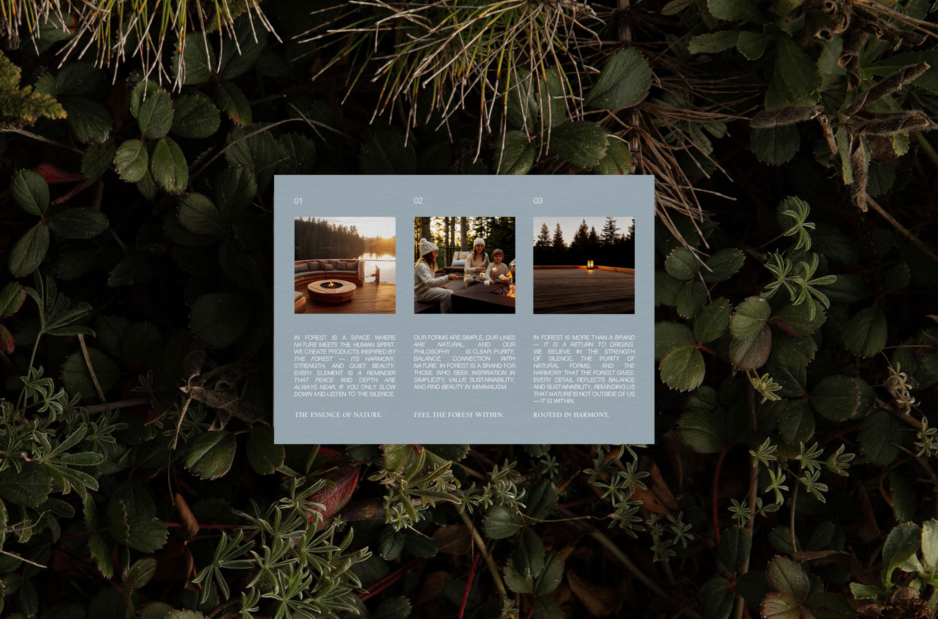 IN FOREST Glamping / брендинг для глэмпинга — Изображение №11 — Брендинг на Dprofile