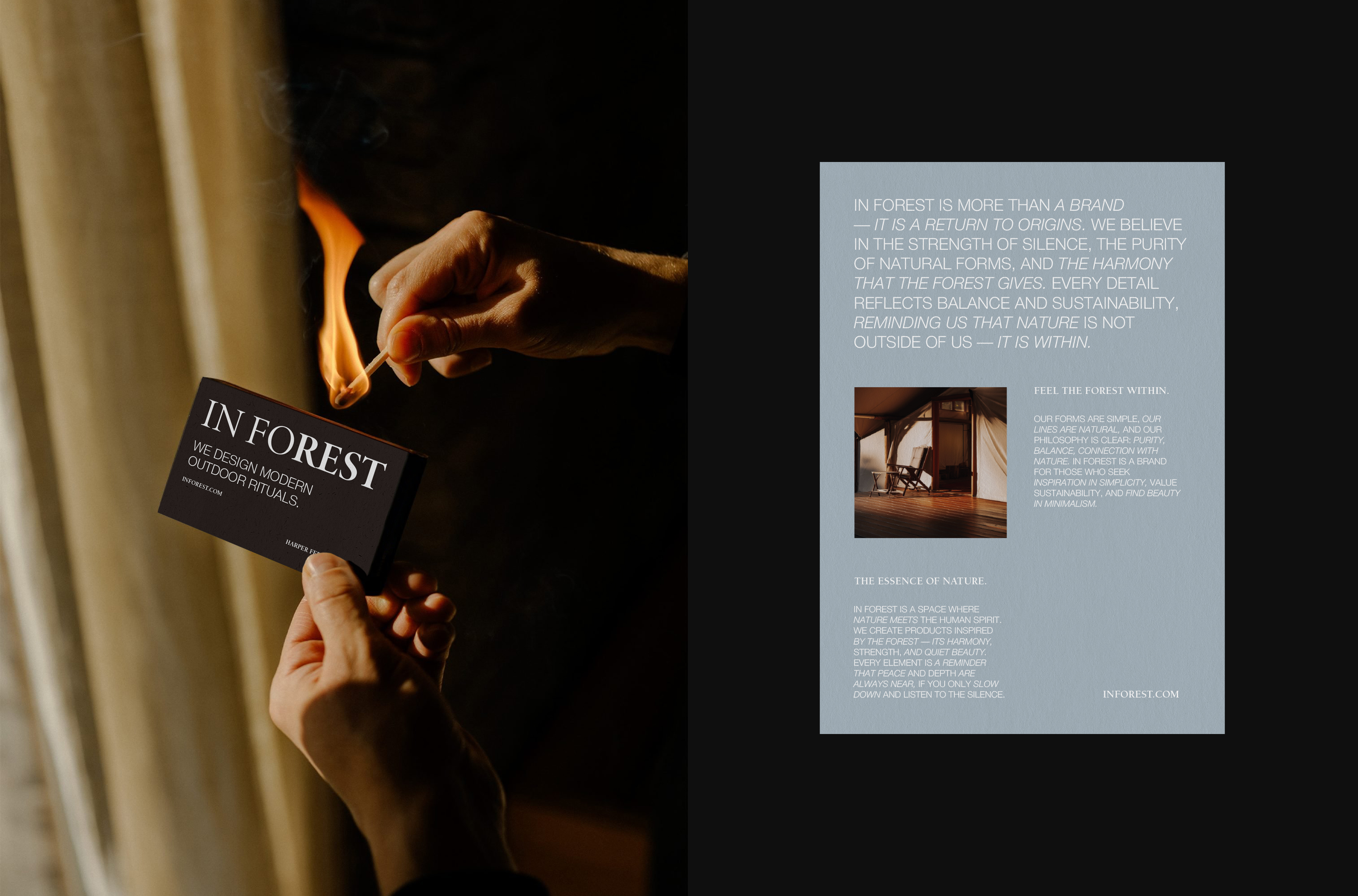 IN FOREST Glamping / брендинг для глэмпинга — Изображение №3 — Брендинг на Dprofile