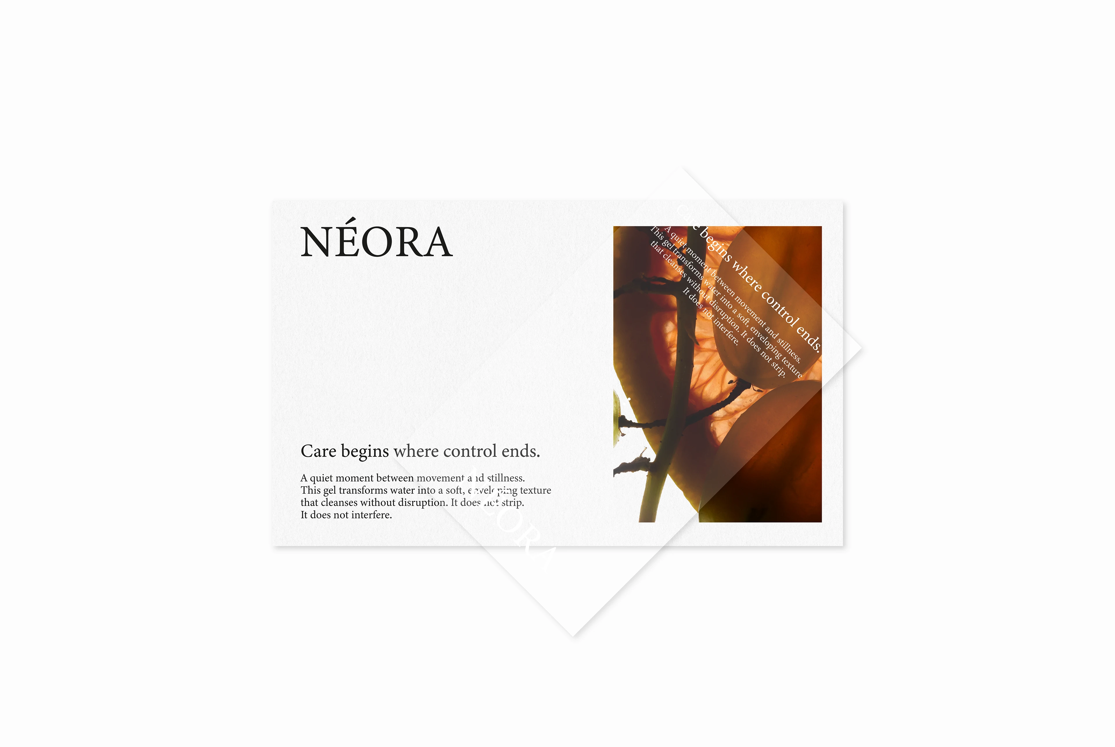 NÉORA brand Identity / packaging for a skincare brand — Изображение №4 — Брендинг на Dprofile