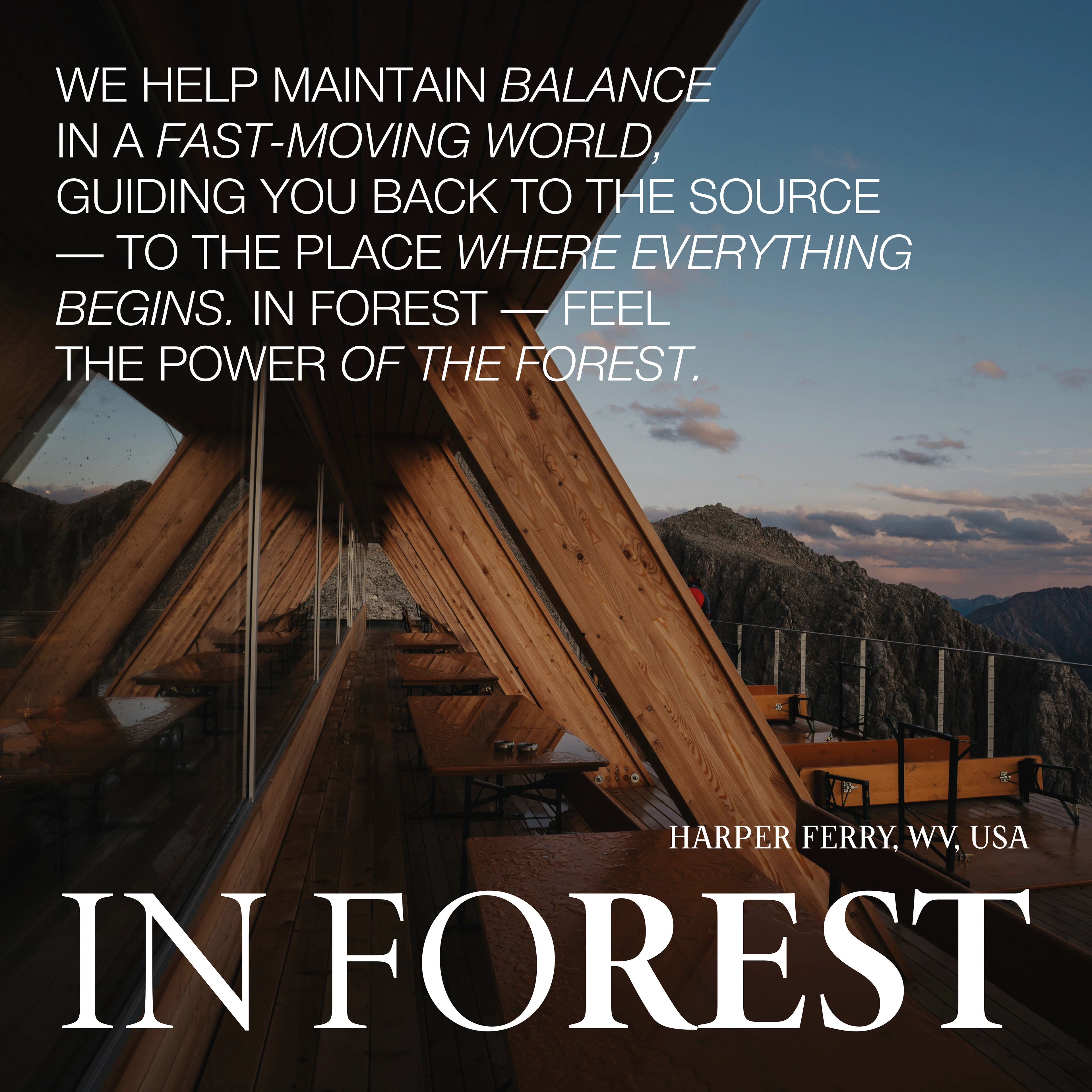 IN FOREST / GLAMPING & CAMPING IDENTITY — Изображение №1 — Брендинг на Dprofile