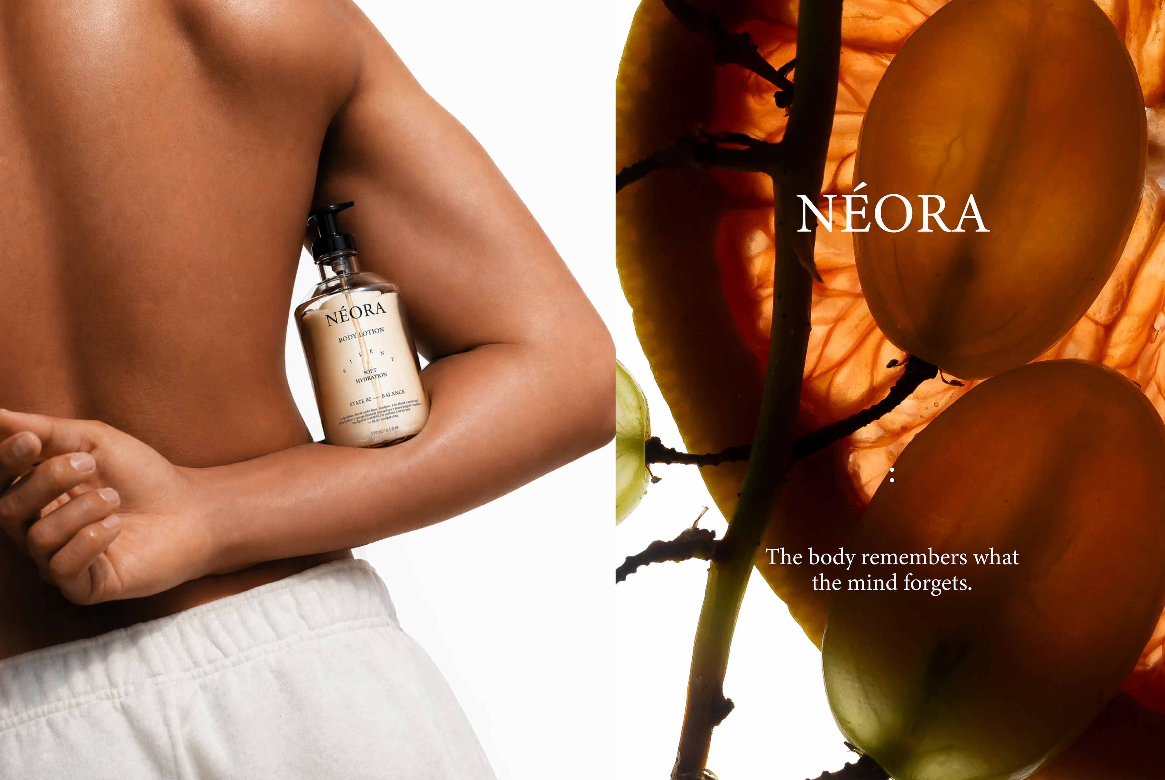 NÉORA brand Identity / packaging for a skincare brand — Изображение №3 — Брендинг на Dprofile