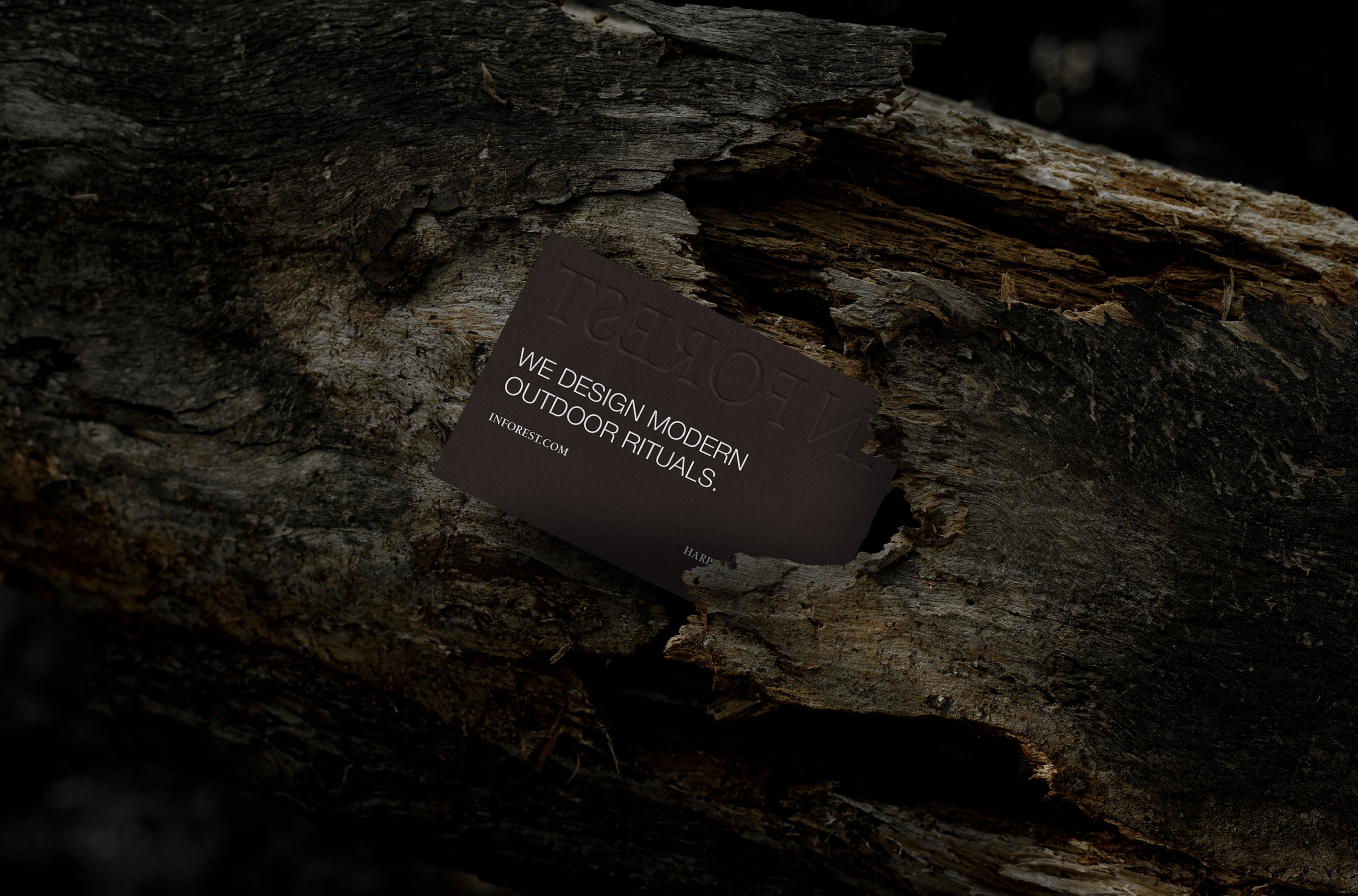 IN FOREST Glamping / брендинг для глэмпинга — Изображение №14 — Брендинг на Dprofile