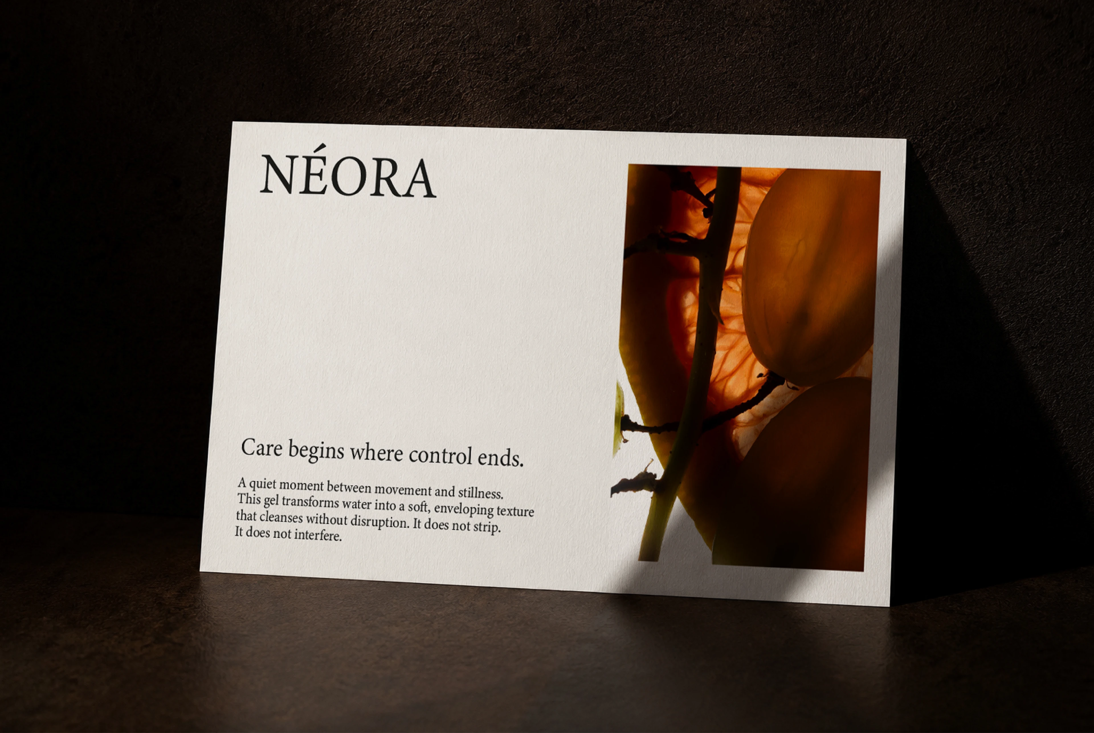 NÉORA brand Identity / packaging for a skincare brand — Изображение №11 — Брендинг на Dprofile