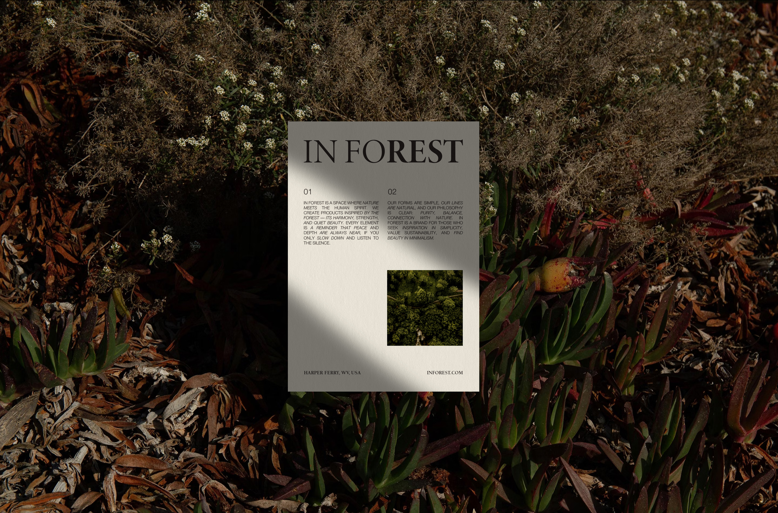 IN FOREST Glamping / брендинг для глэмпинга — Изображение №16 — Брендинг на Dprofile