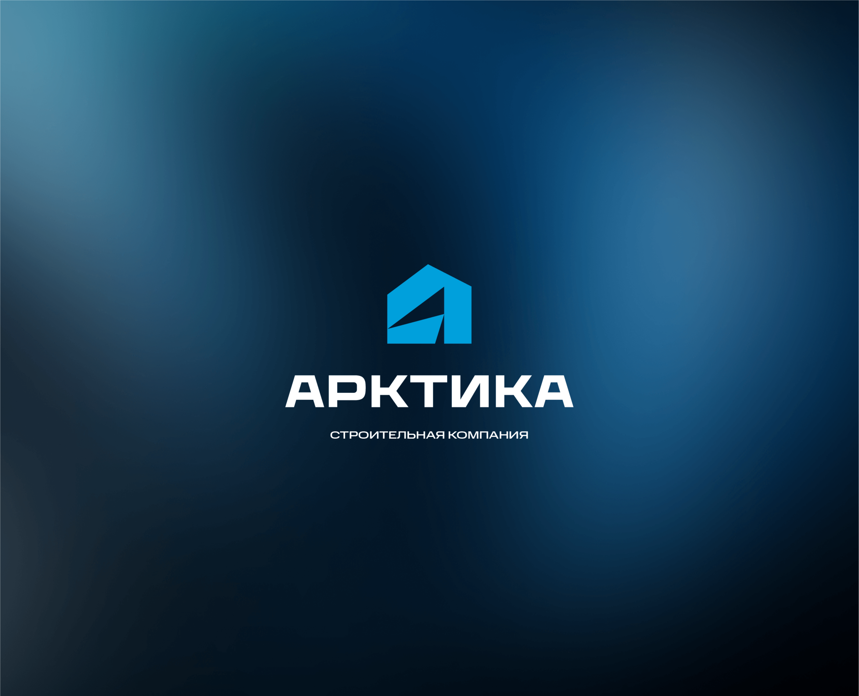АРКТИКА | Фирменный стиль — Брендинг на Dprofile