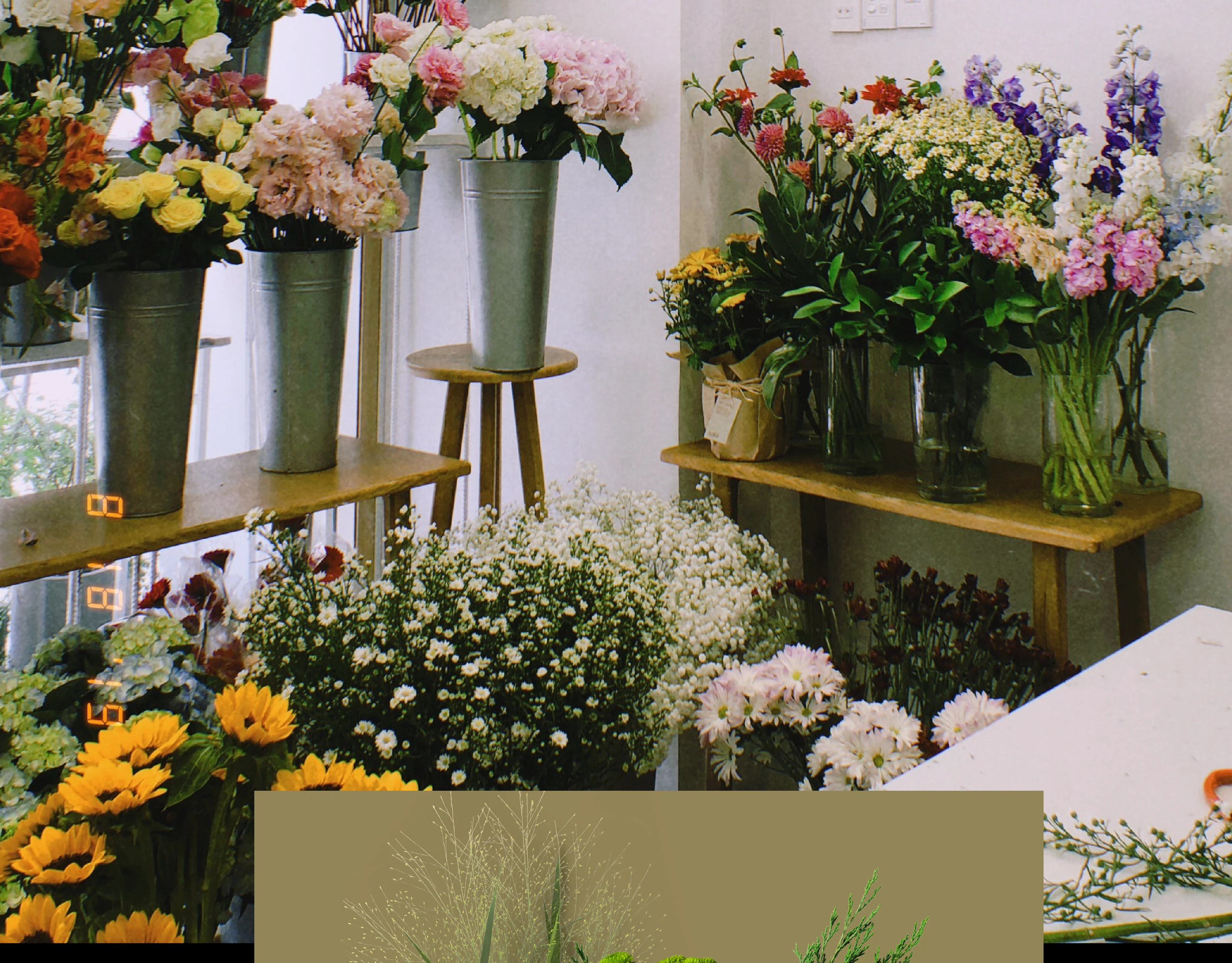 OSTANINA FLORIST — Изображение №20 — Брендинг на Dprofile