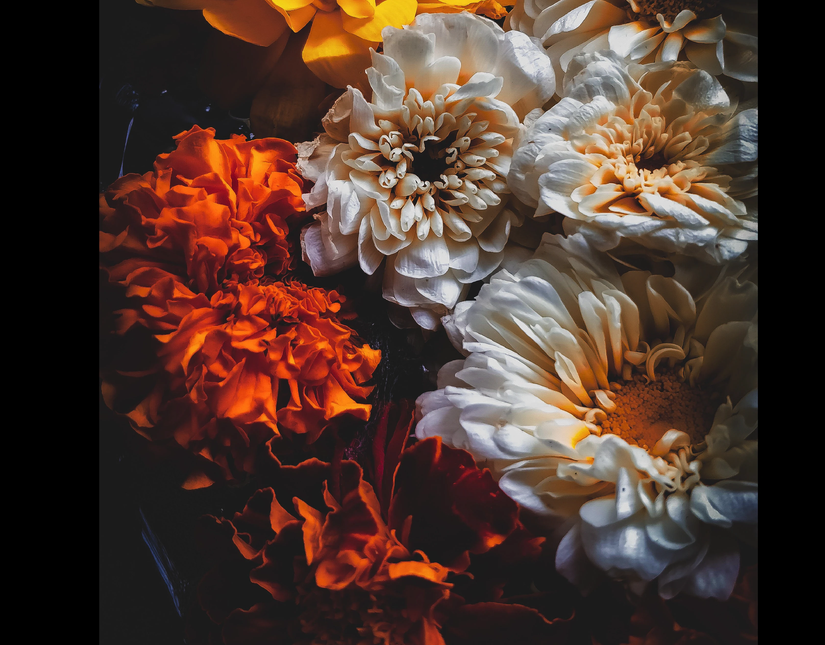 OSTANINA FLORIST — Изображение №10 — Брендинг на Dprofile