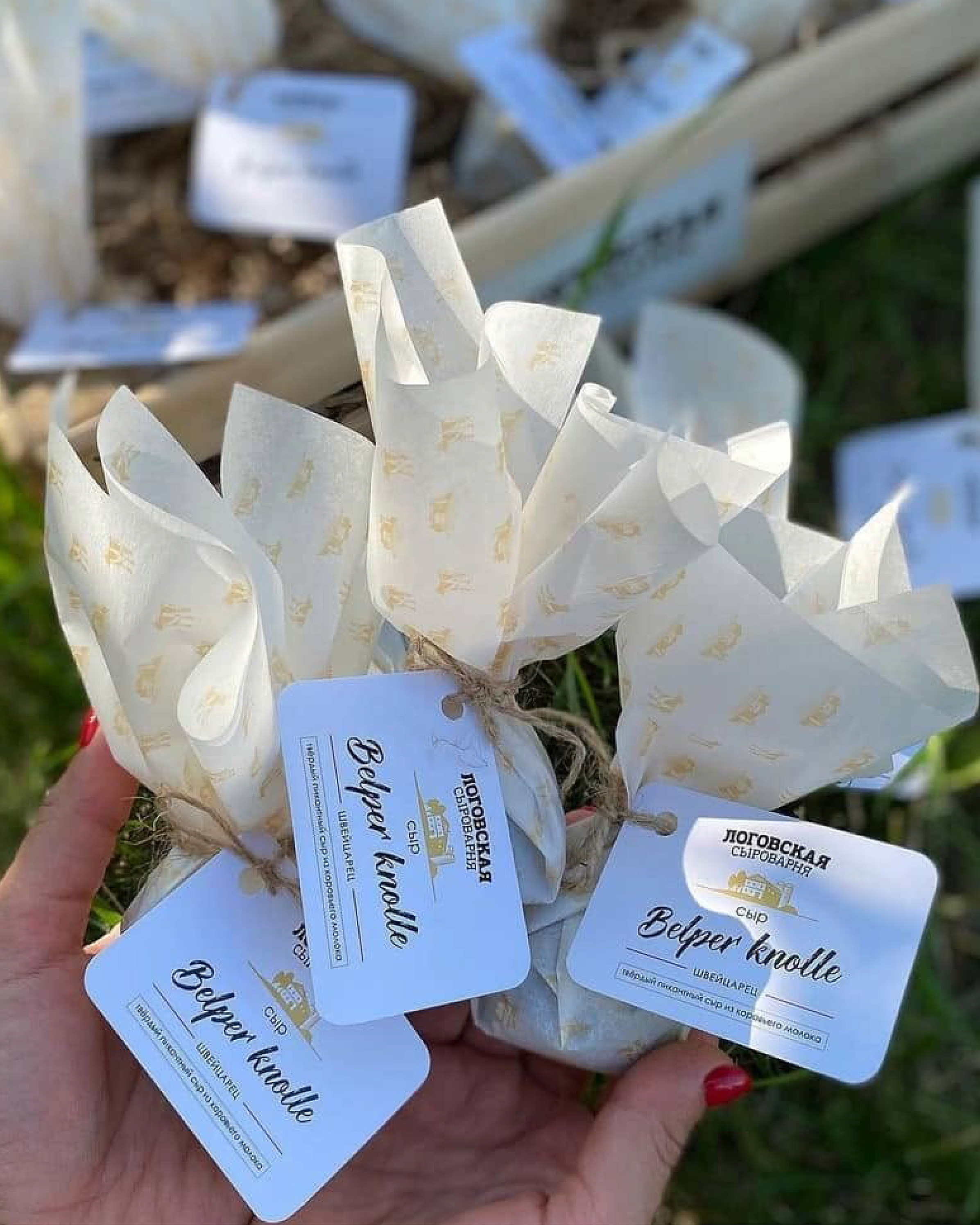 CHEESE SCAMORZA BELPER KNOLLE HALUMI — Изображение №5 — Брендинг, Промдизайн на Dprofile