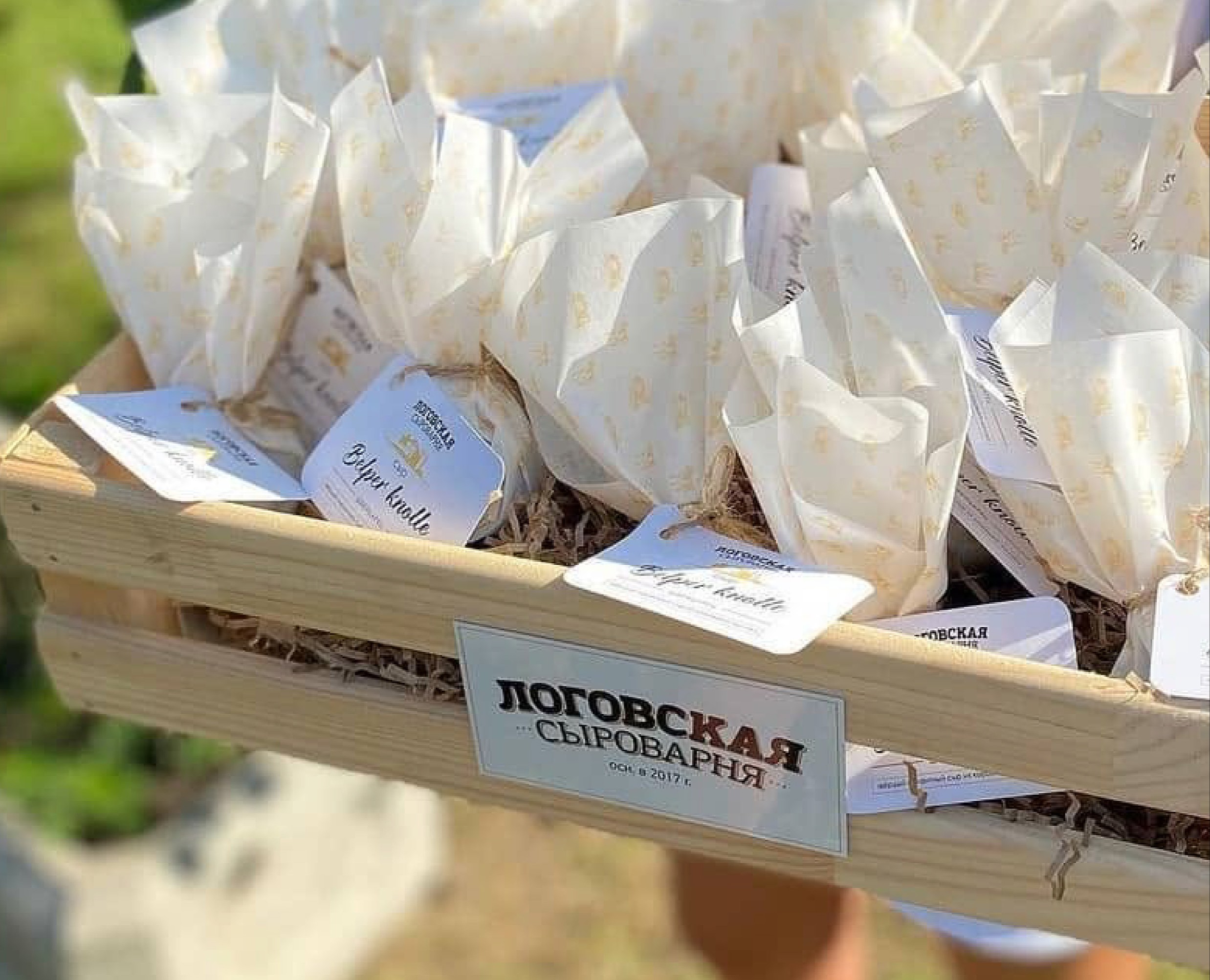 CHEESE SCAMORZA BELPER KNOLLE HALUMI на Dprofile