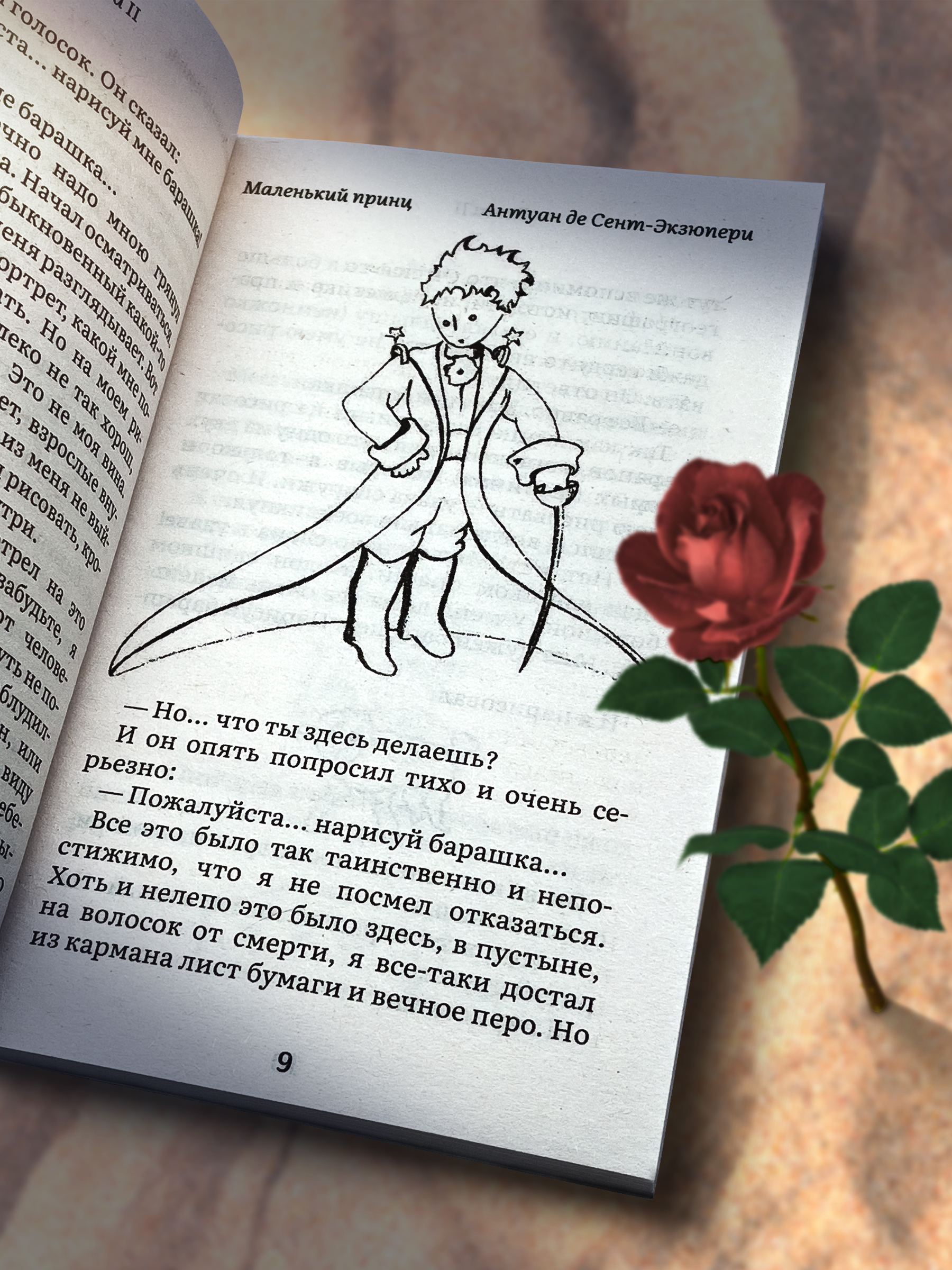 Инфографика книга Маленький принц — Изображение №3 — Графика, Маркетинг на Dprofile