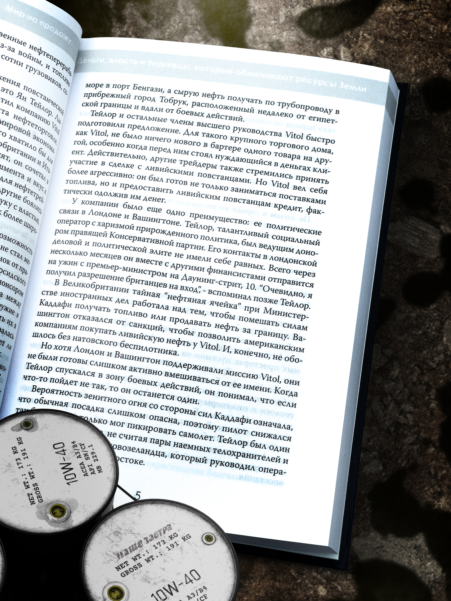 Инфографика книги для изд. Картина Мира — Изображение №6 — Графика, Маркетинг на Dprofile