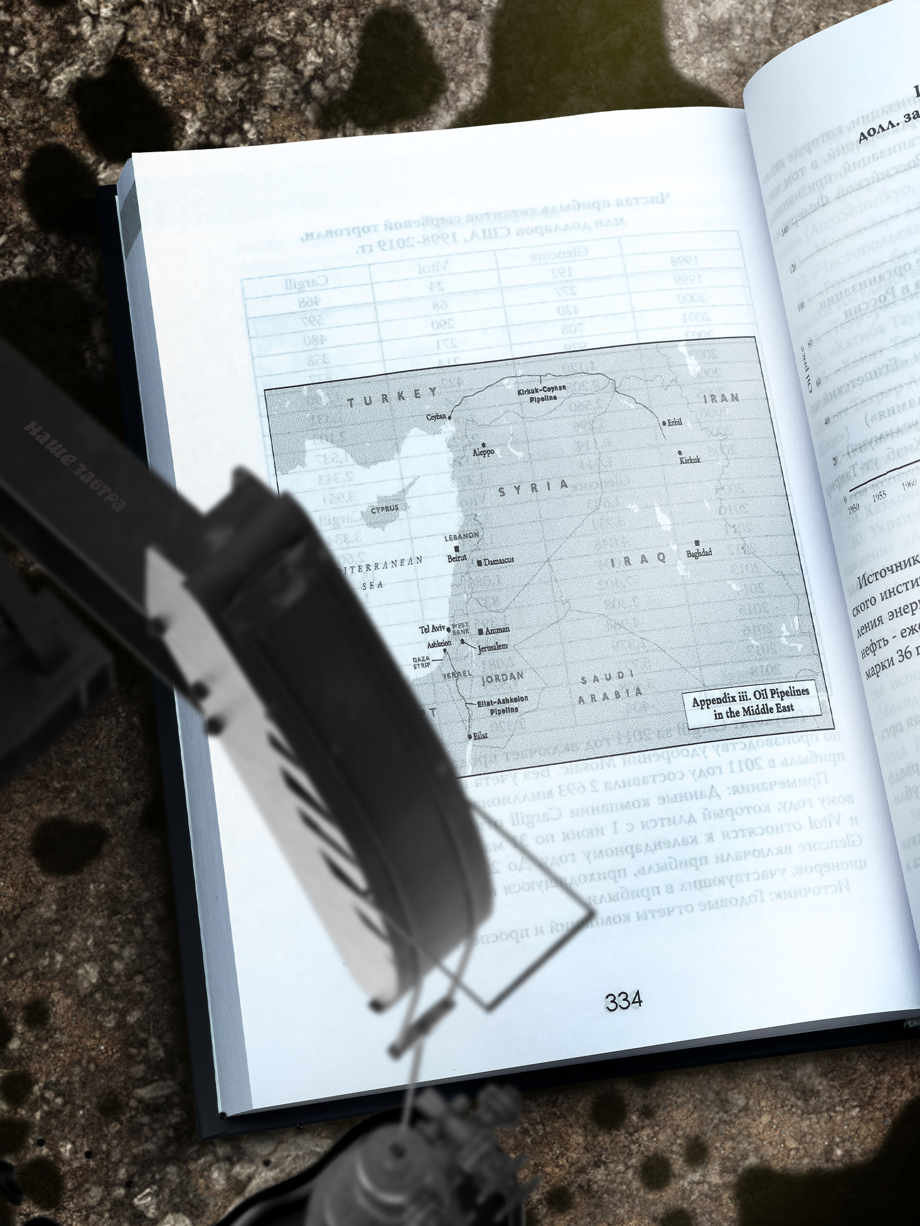 Инфографика книги для изд. Картина Мира — Изображение №5 — Графика, Маркетинг на Dprofile